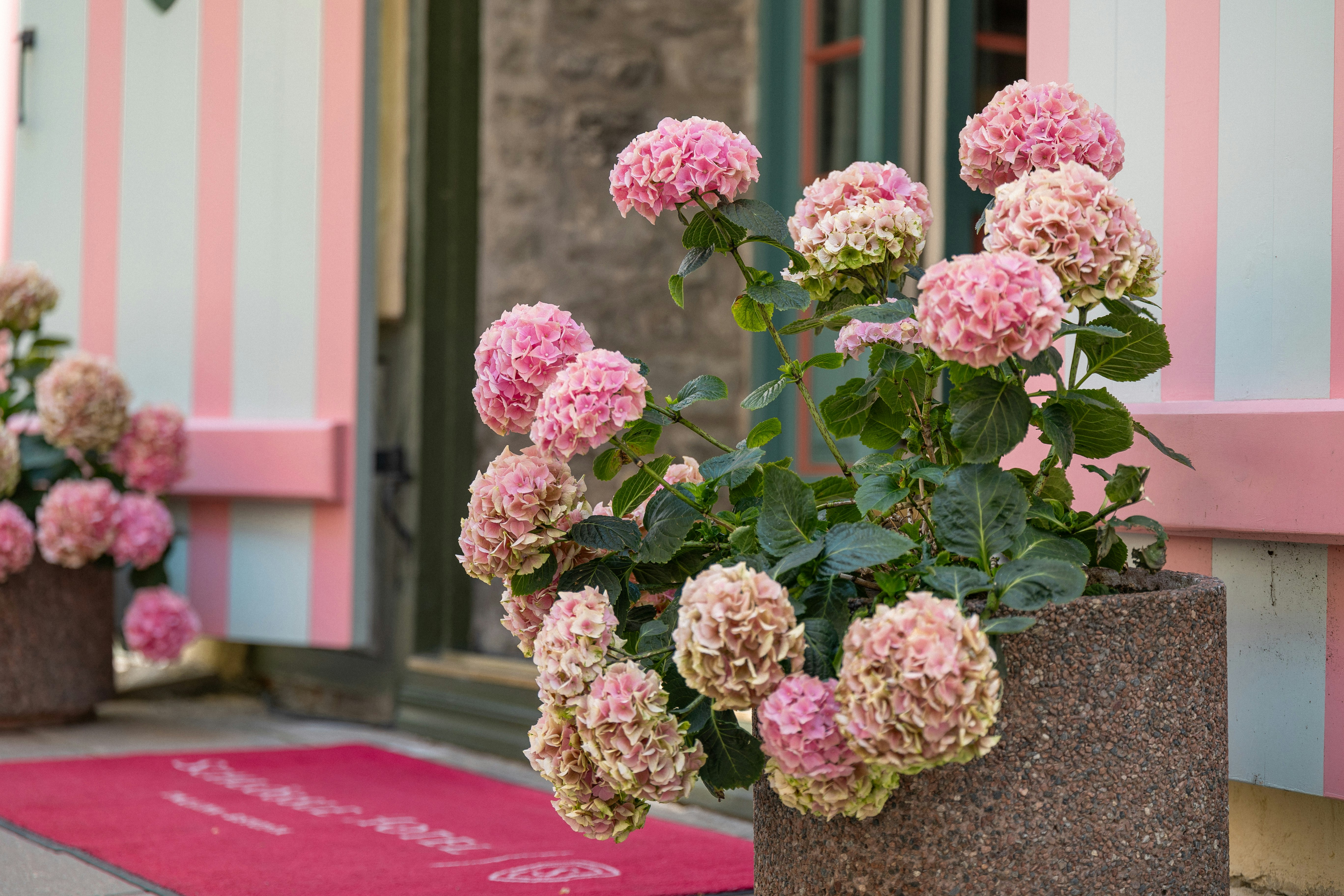 Schlössle Hotel Exterior