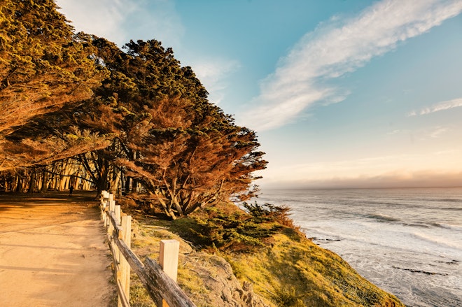 Walking Path