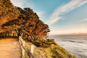 Walking Path
