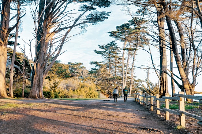 Walking Path
