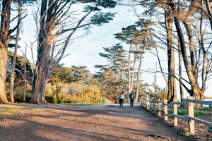 Walking Path