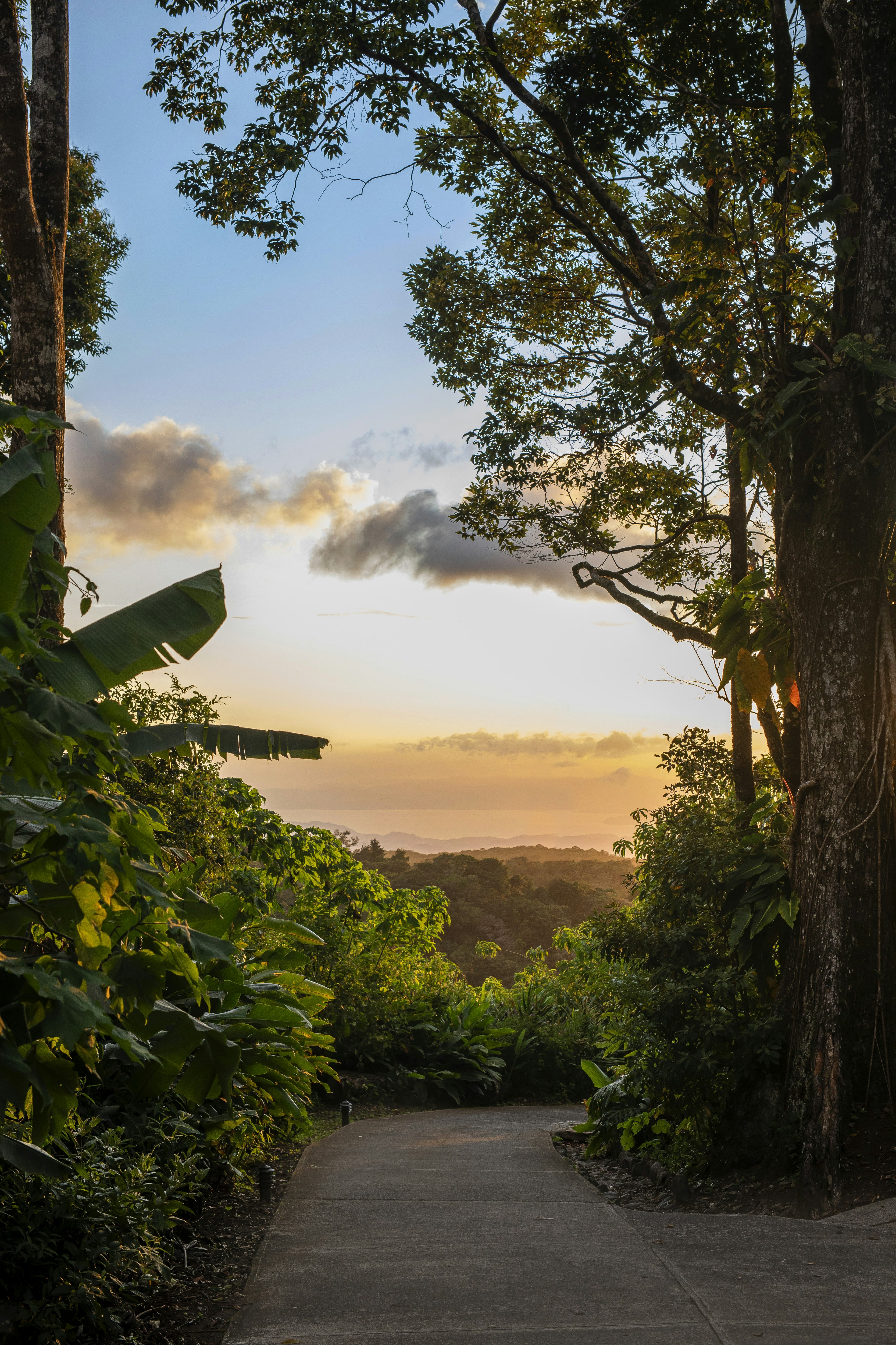 Senda Monteverde Hotel View