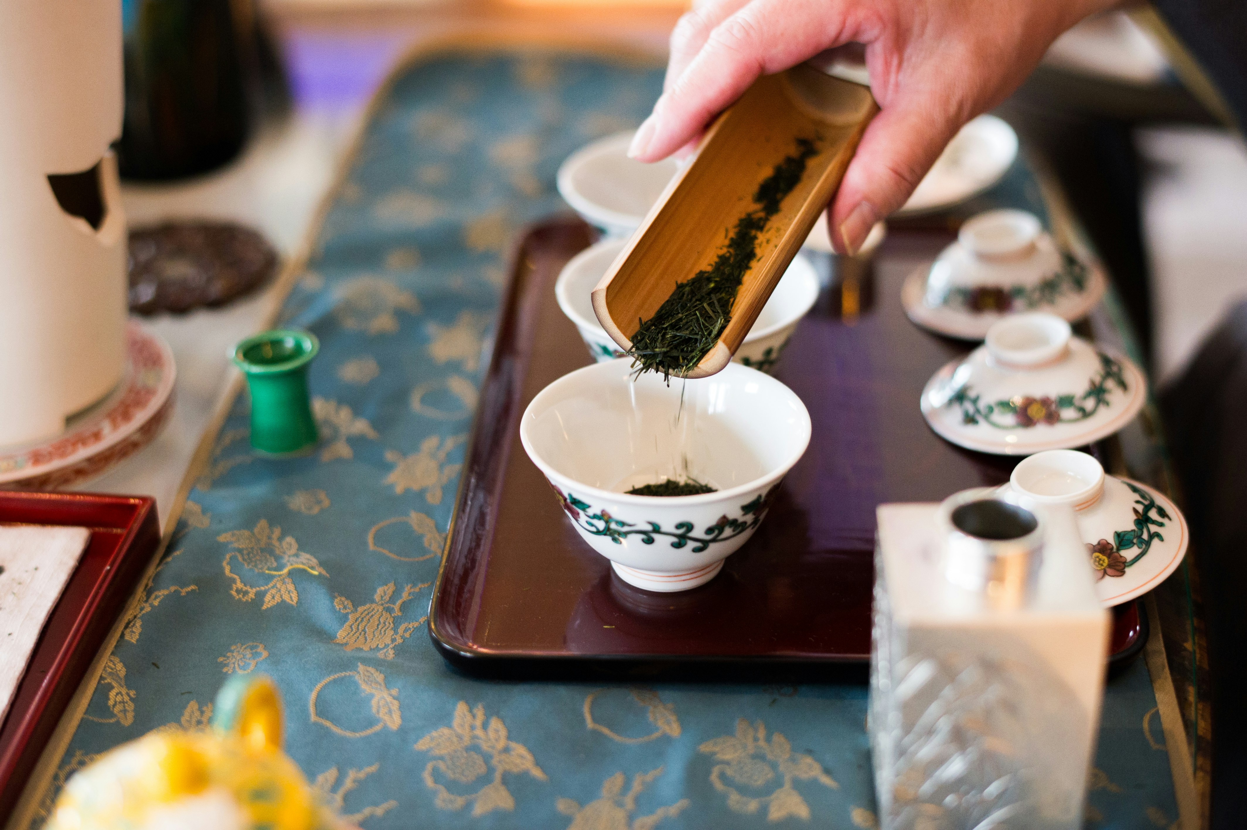 Senchadou Experience