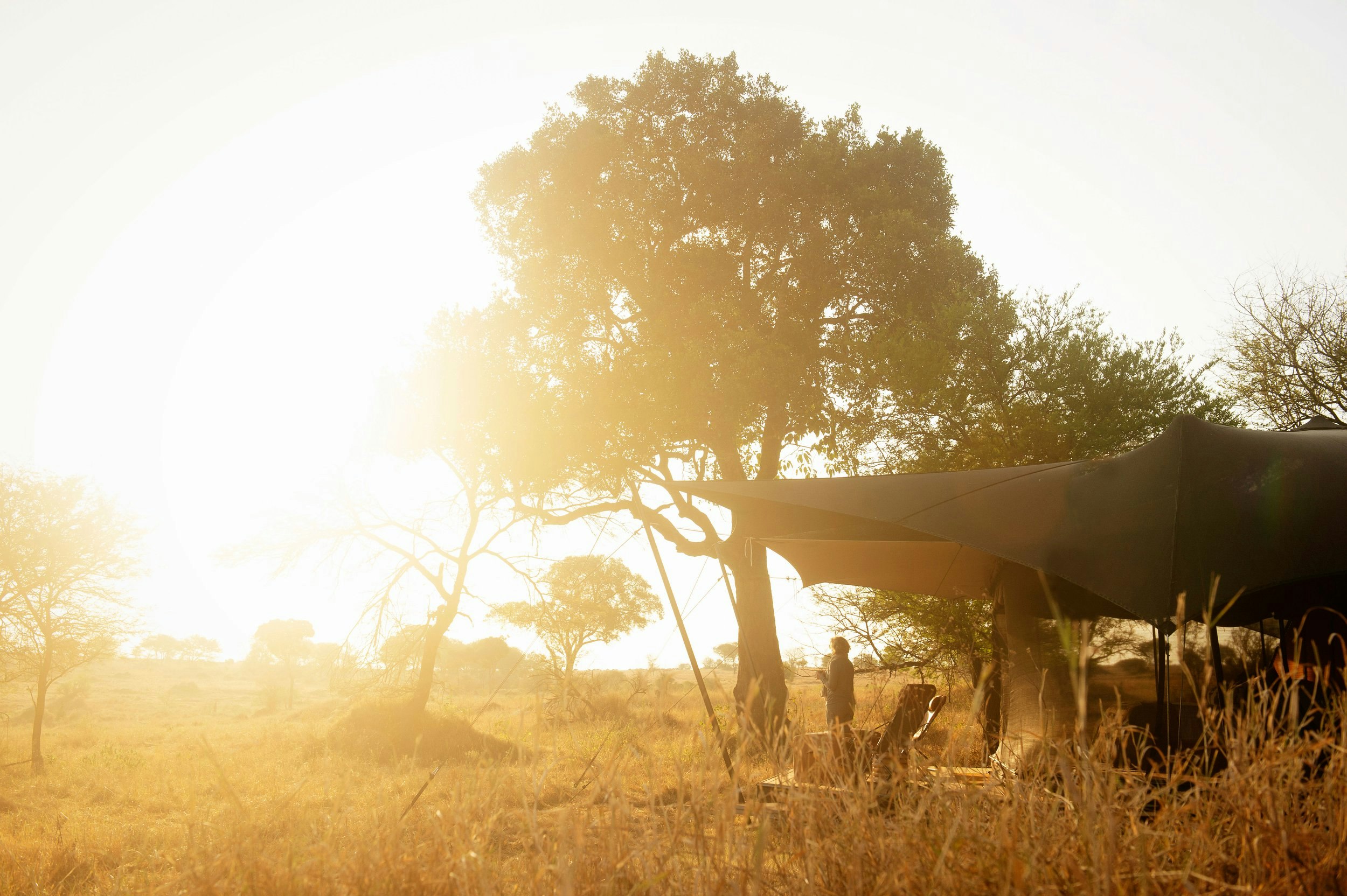 Standard Tent - Exterior