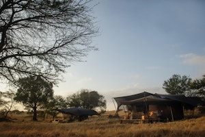Tent - Exterior