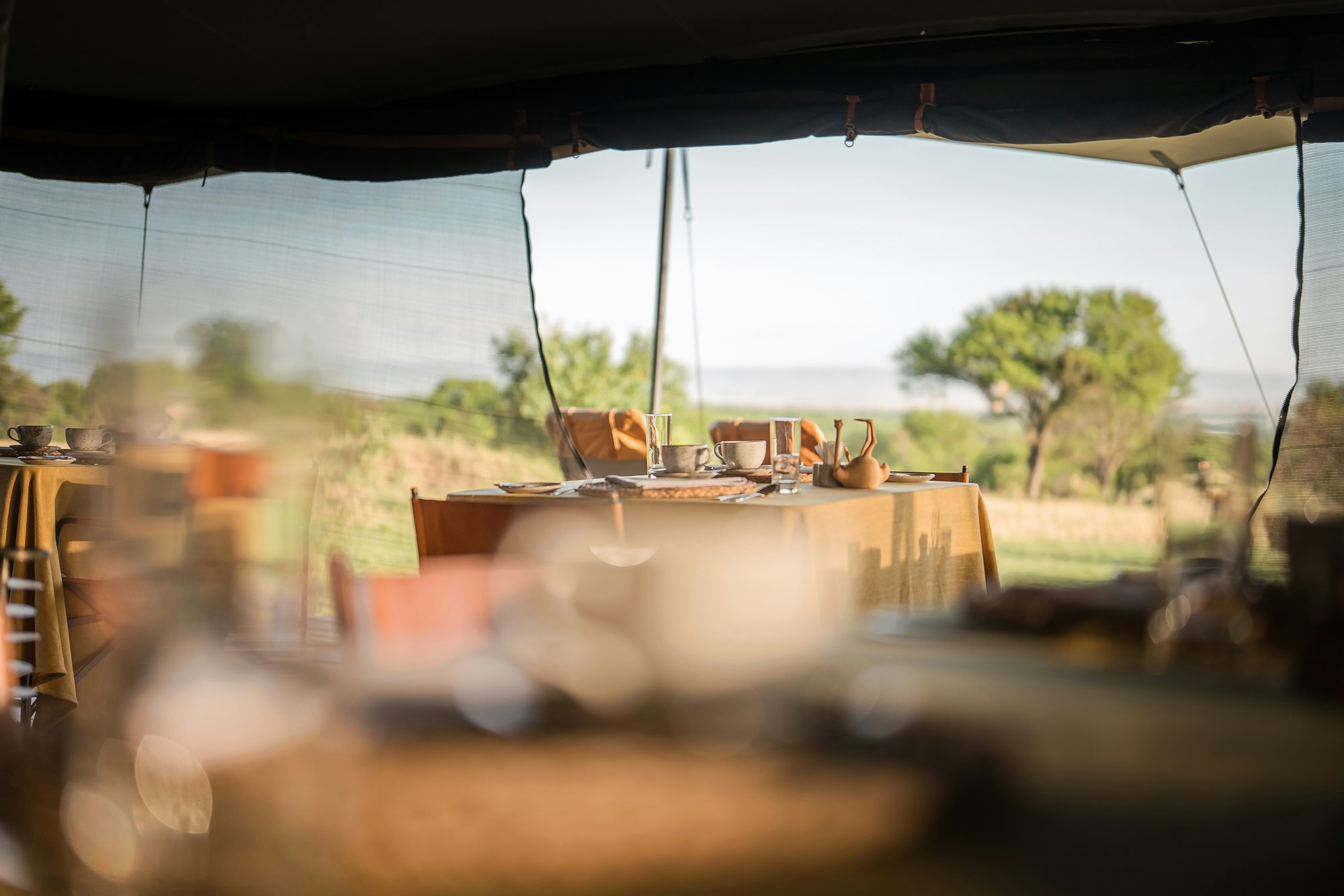 Dining Tent - Table Details