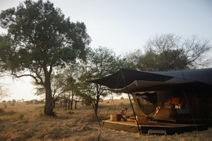 Tent - Exterior