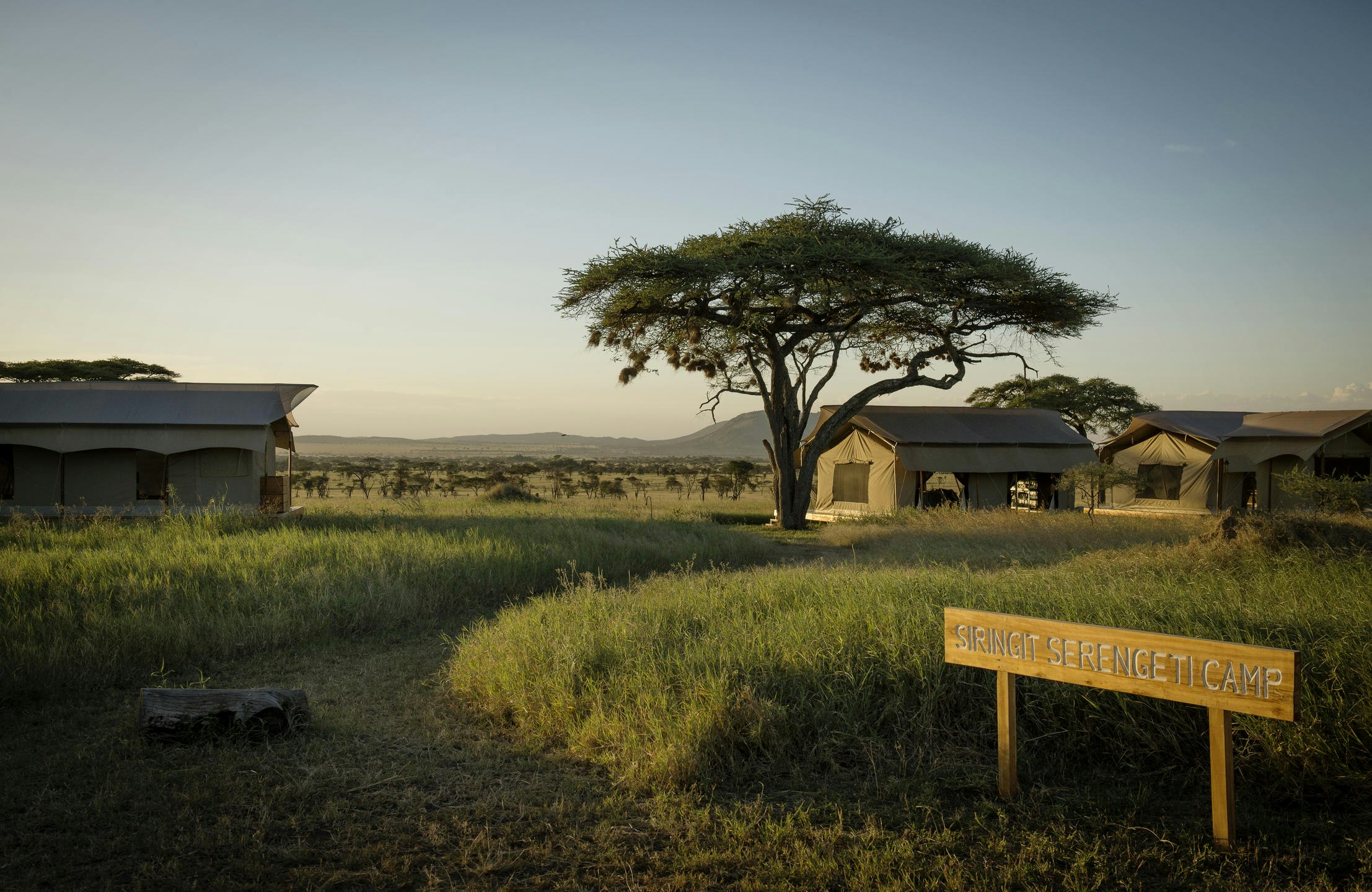 Siringit Serengeti Camp