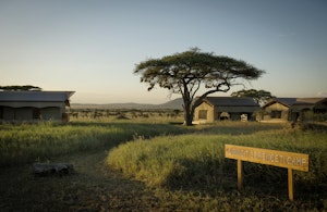 Siringit Serengeti Camp