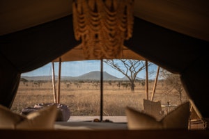 Standard Tent - View