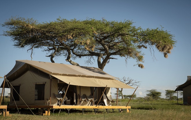 Lounge Tent - Exterior