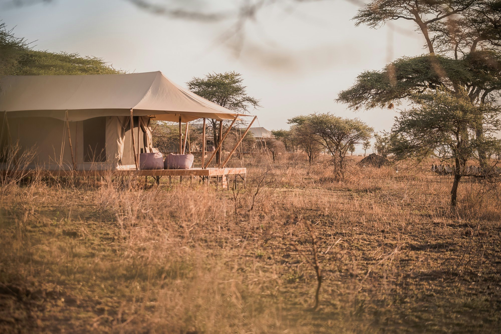 Siringit Serengeti Camp