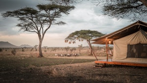 Siringit Serengeti Camp - Exterior