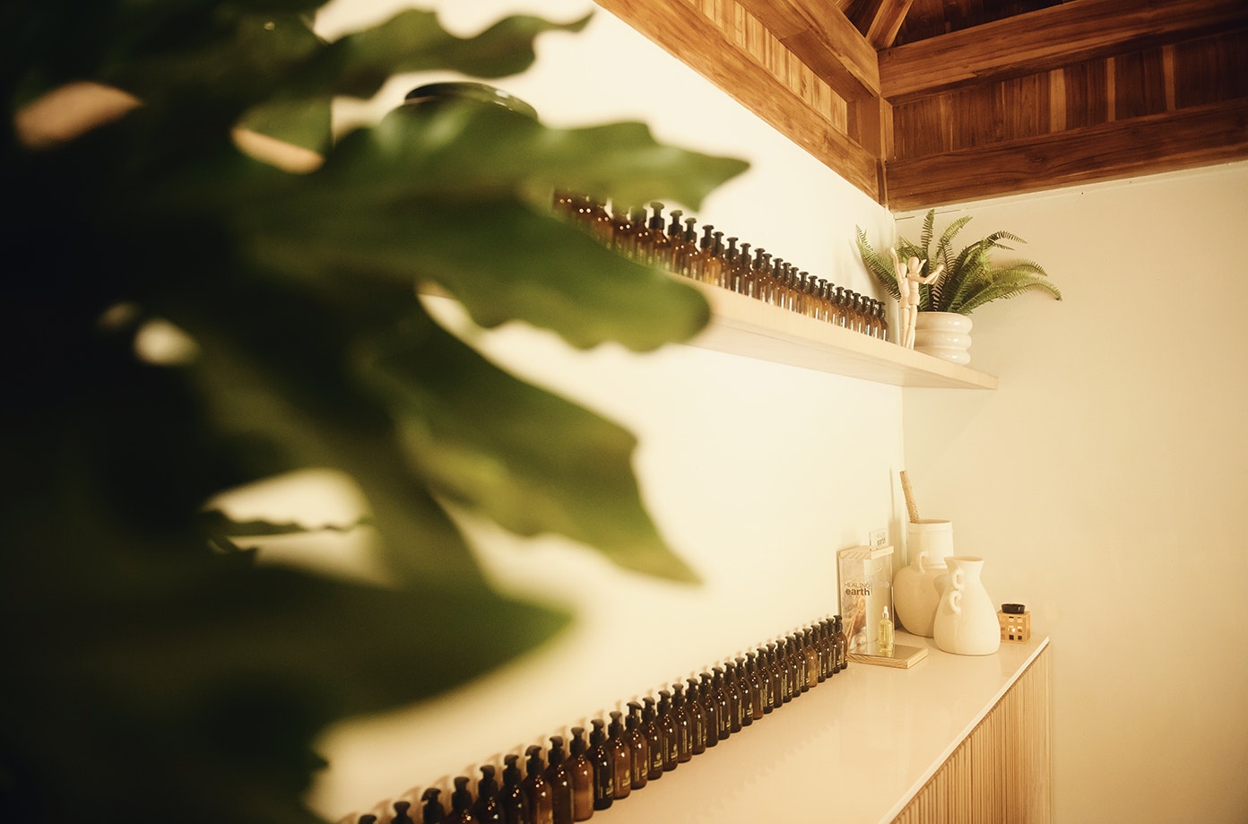 Healing Earth Products