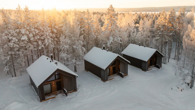 Log Suites