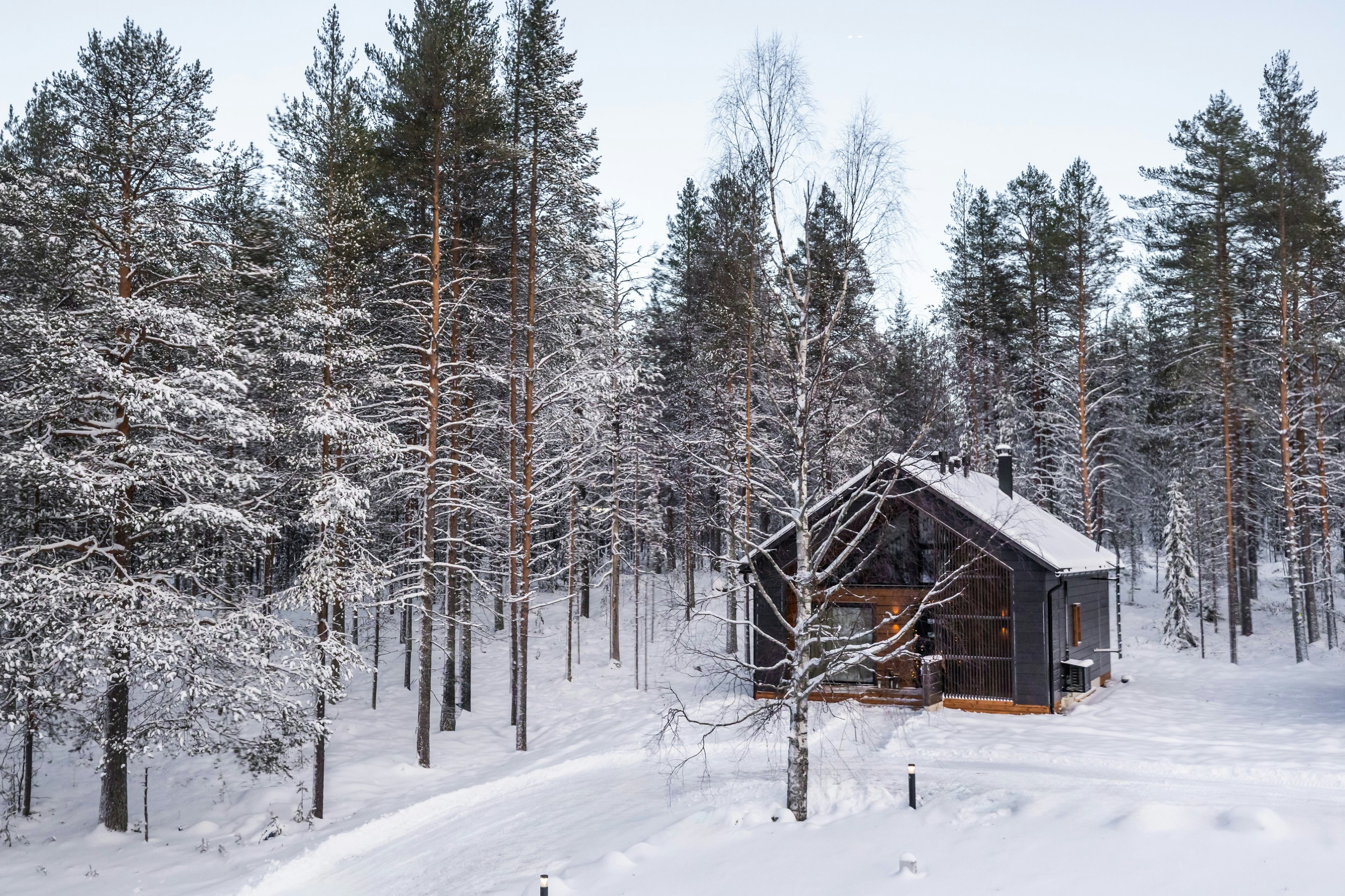 Log Suite - Exterior