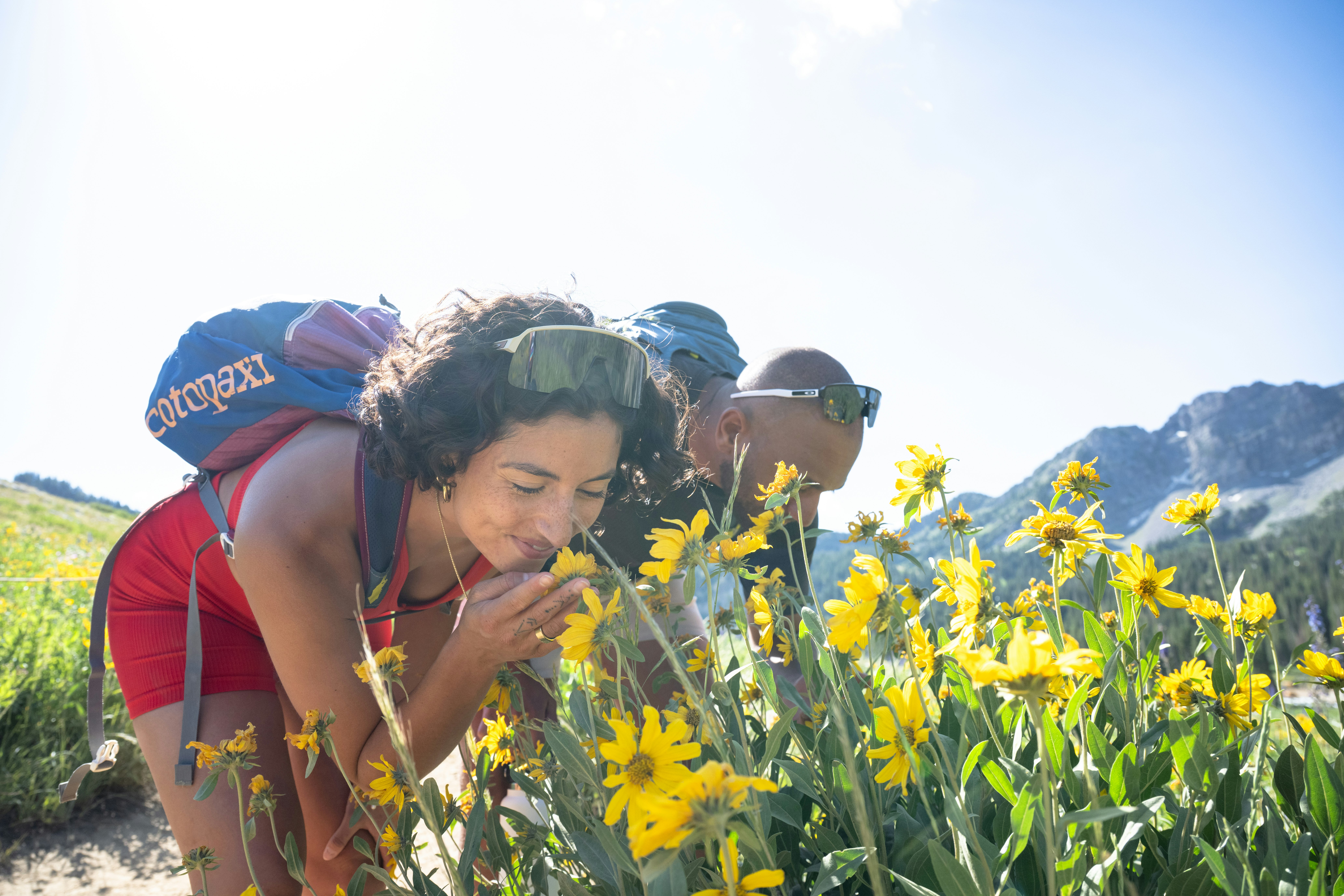 Snowpine Lodge Summer Hiking Wildflower Season