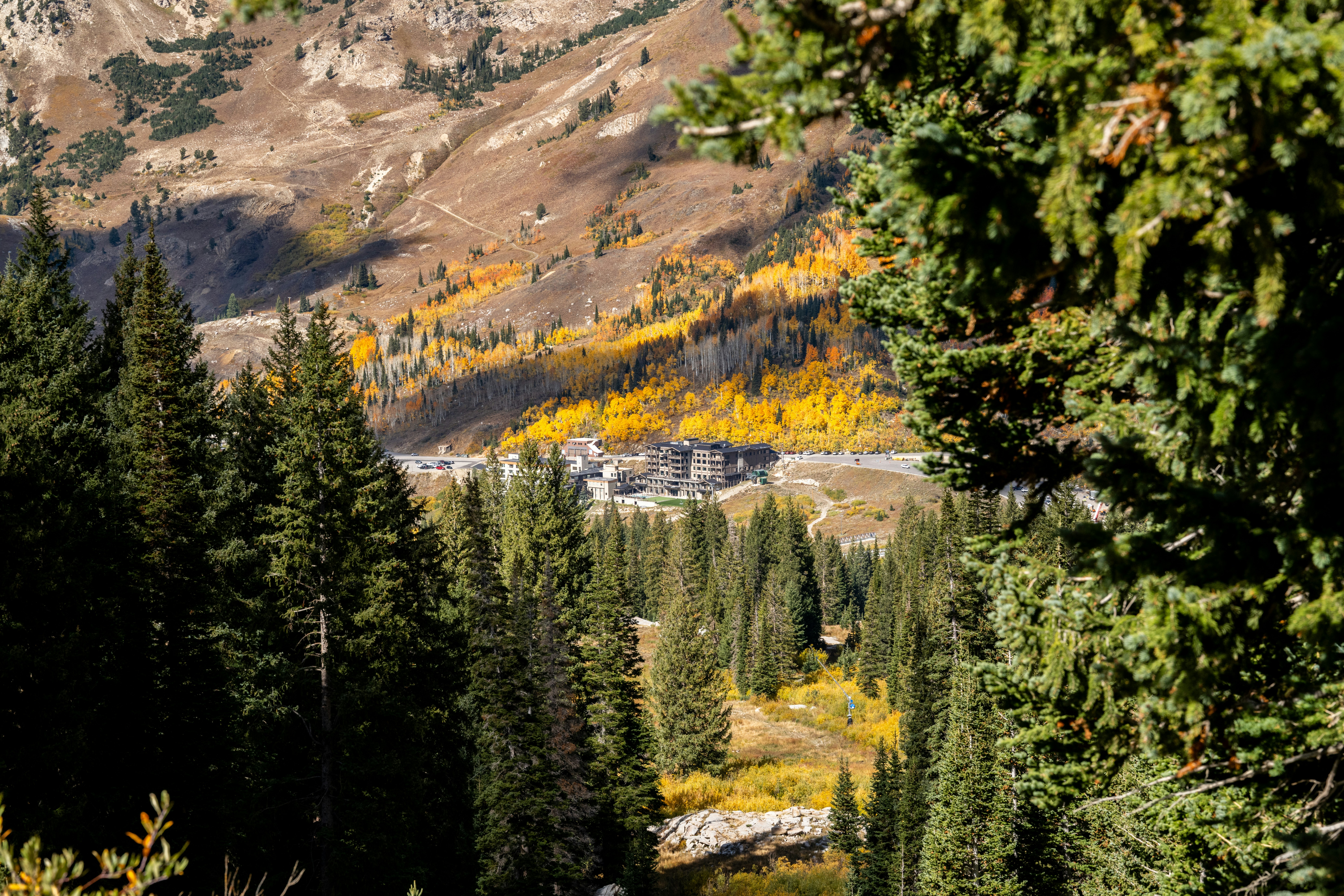 Snowpine Lodge Fall Photo Mountain View