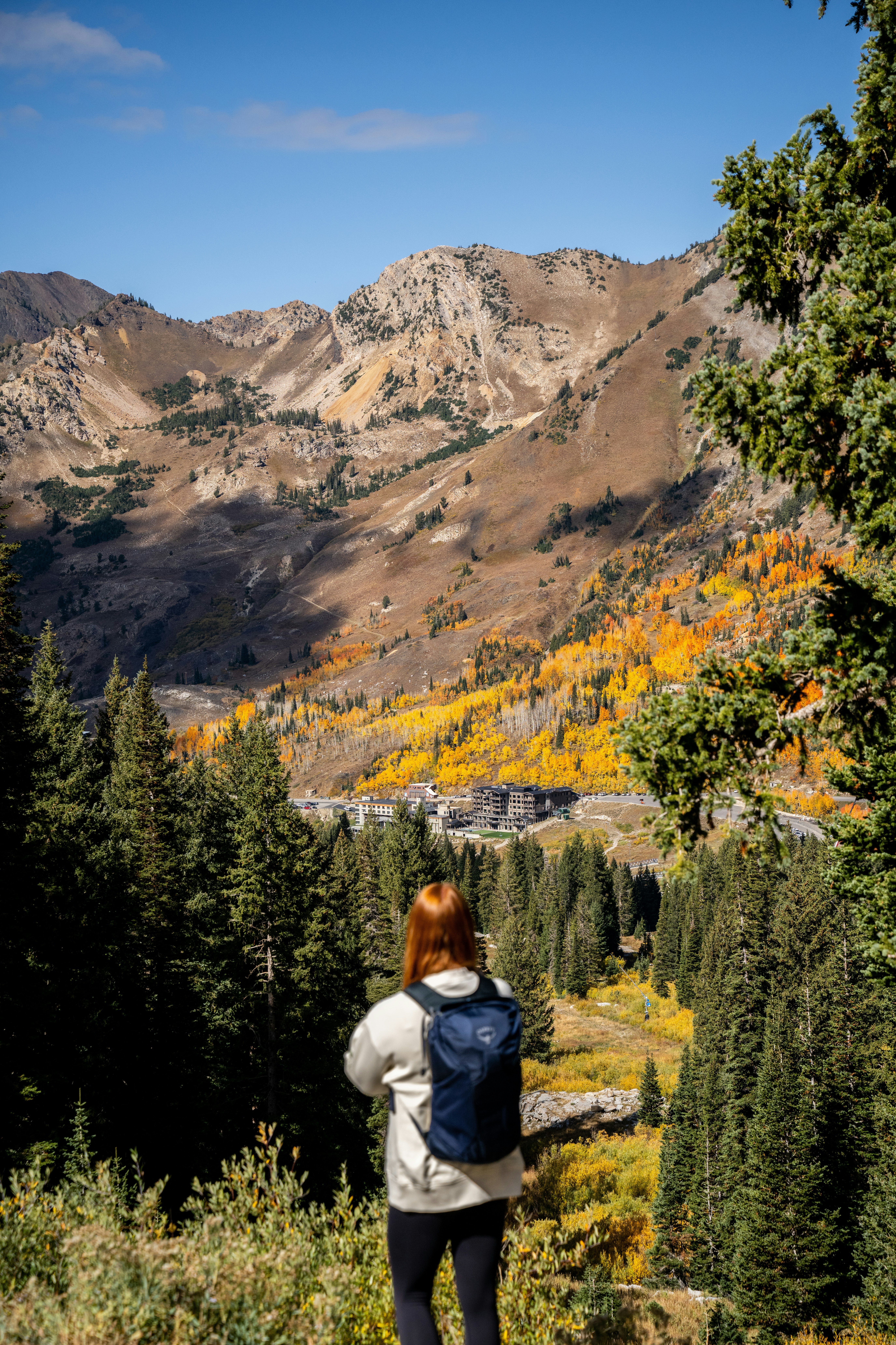 Snowpine Lodge Fall Photo Mountain View Vertical Press