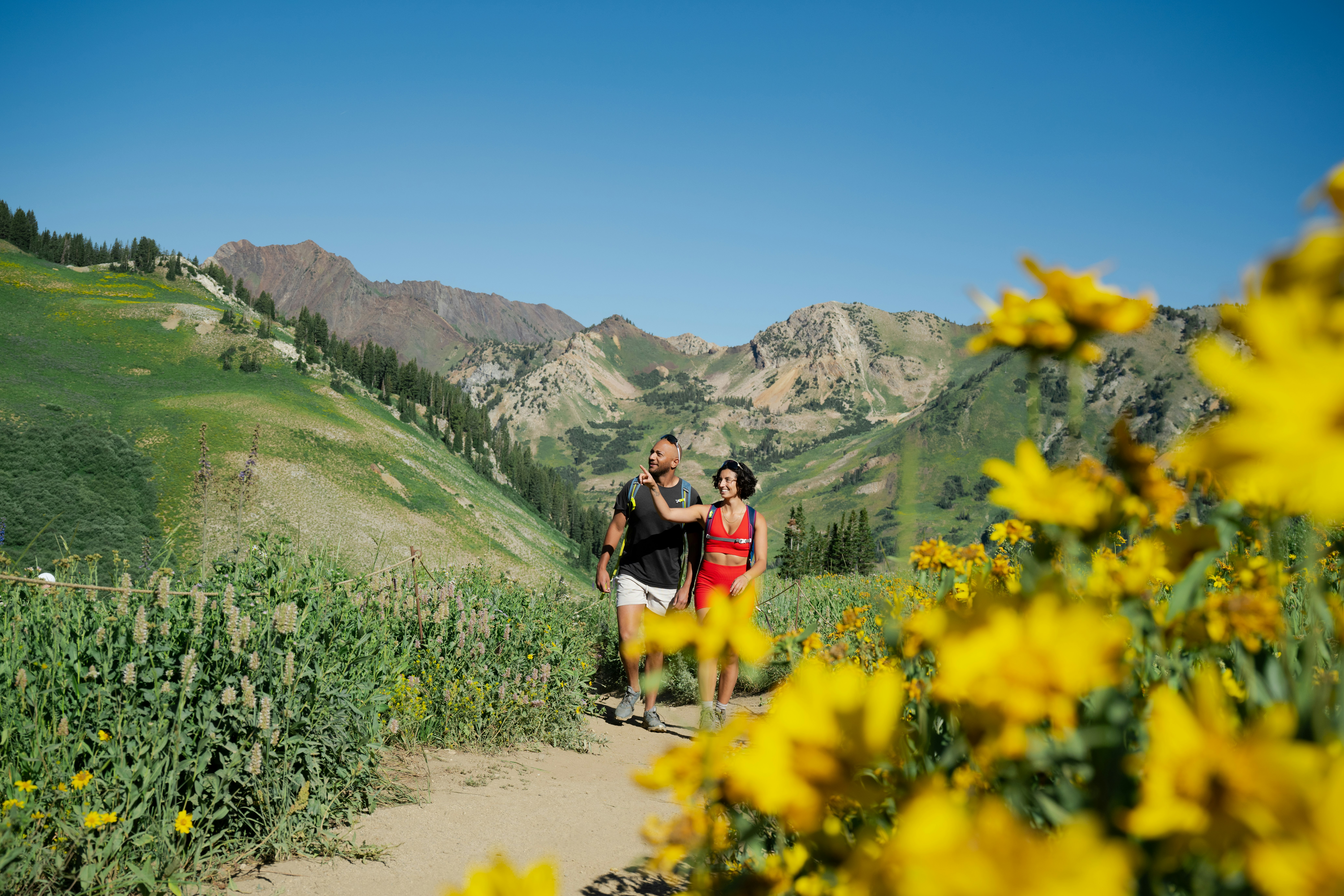 Snowpine Lodge Summer Hiking Wildflower Season