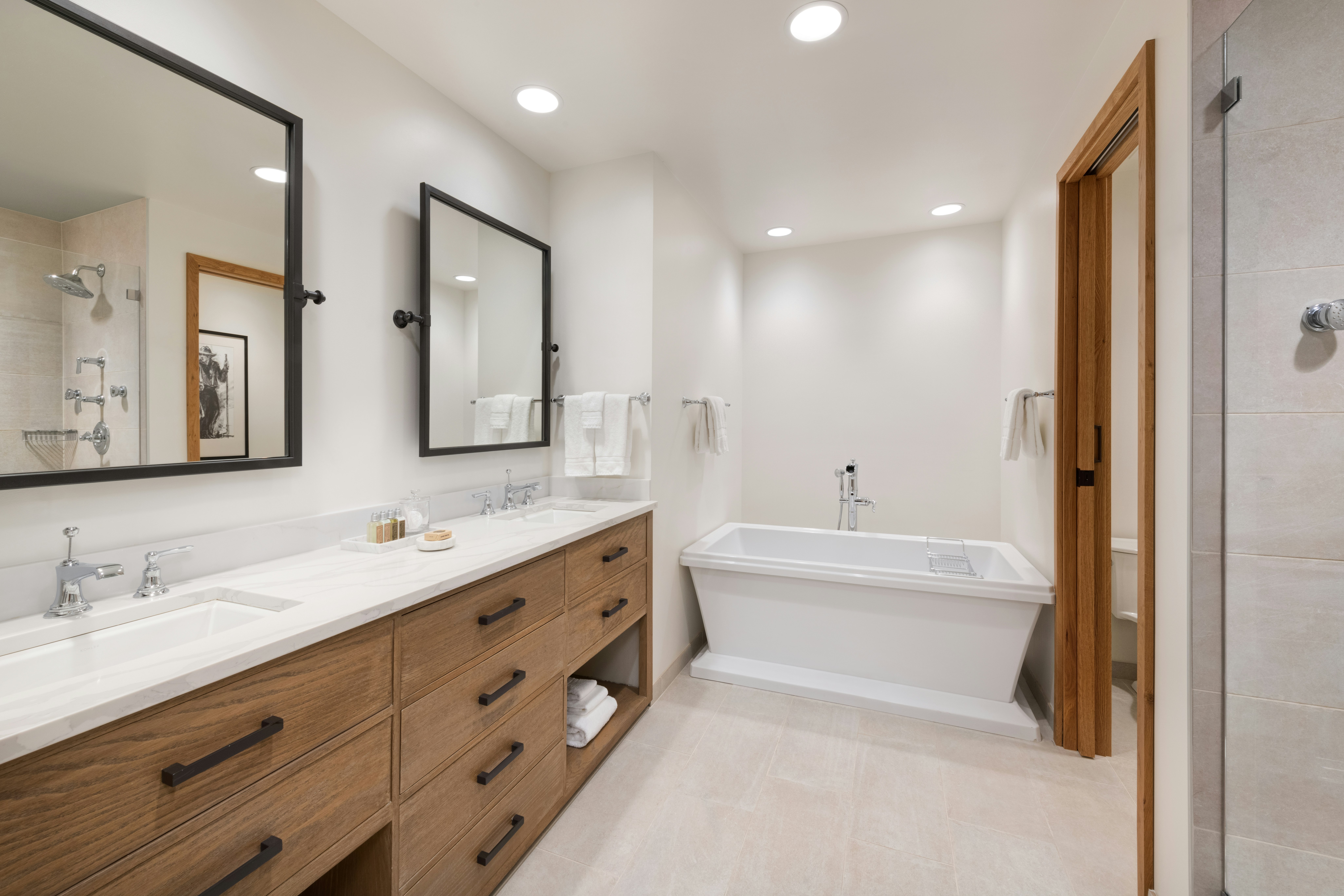 Lift View King Sofa Bed - Bathroom