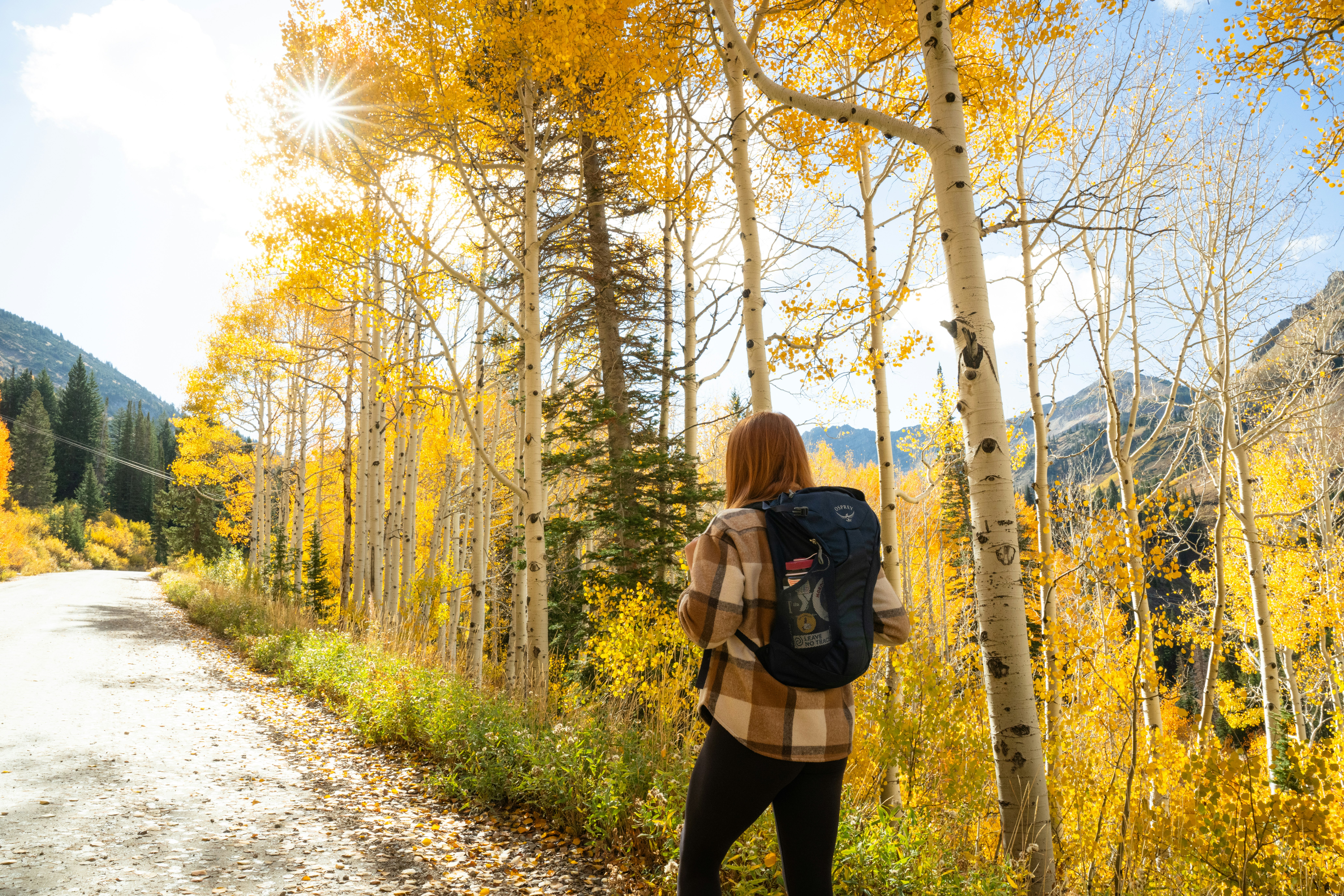 Snowpine Lodge Fall Photo Hike