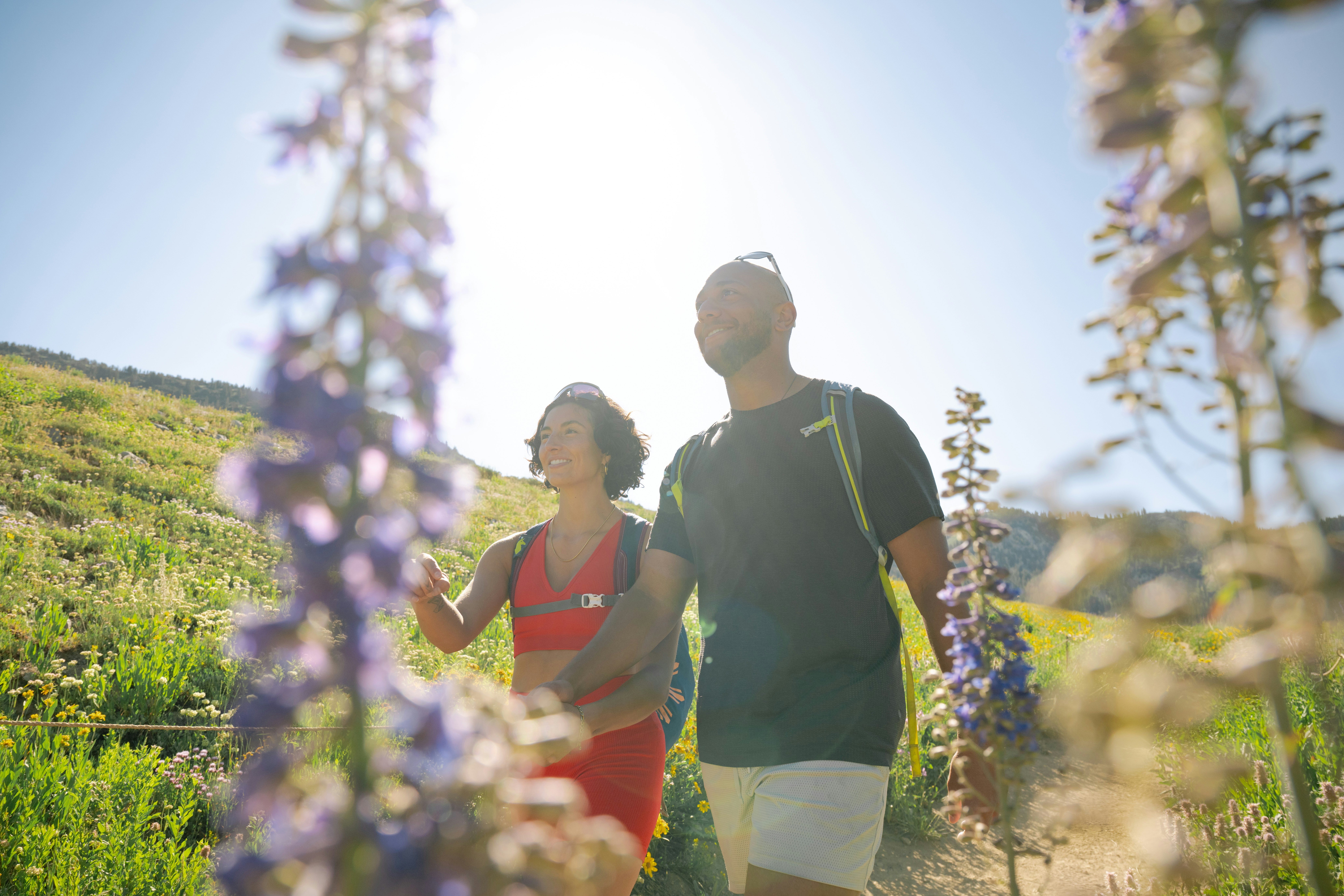 Snowpine Lodge Summer Hiking Wildflower Season