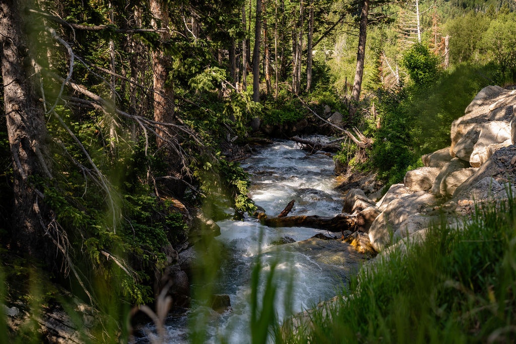 Snowpine Lodge Spring Surrounding Hiking Area Stream