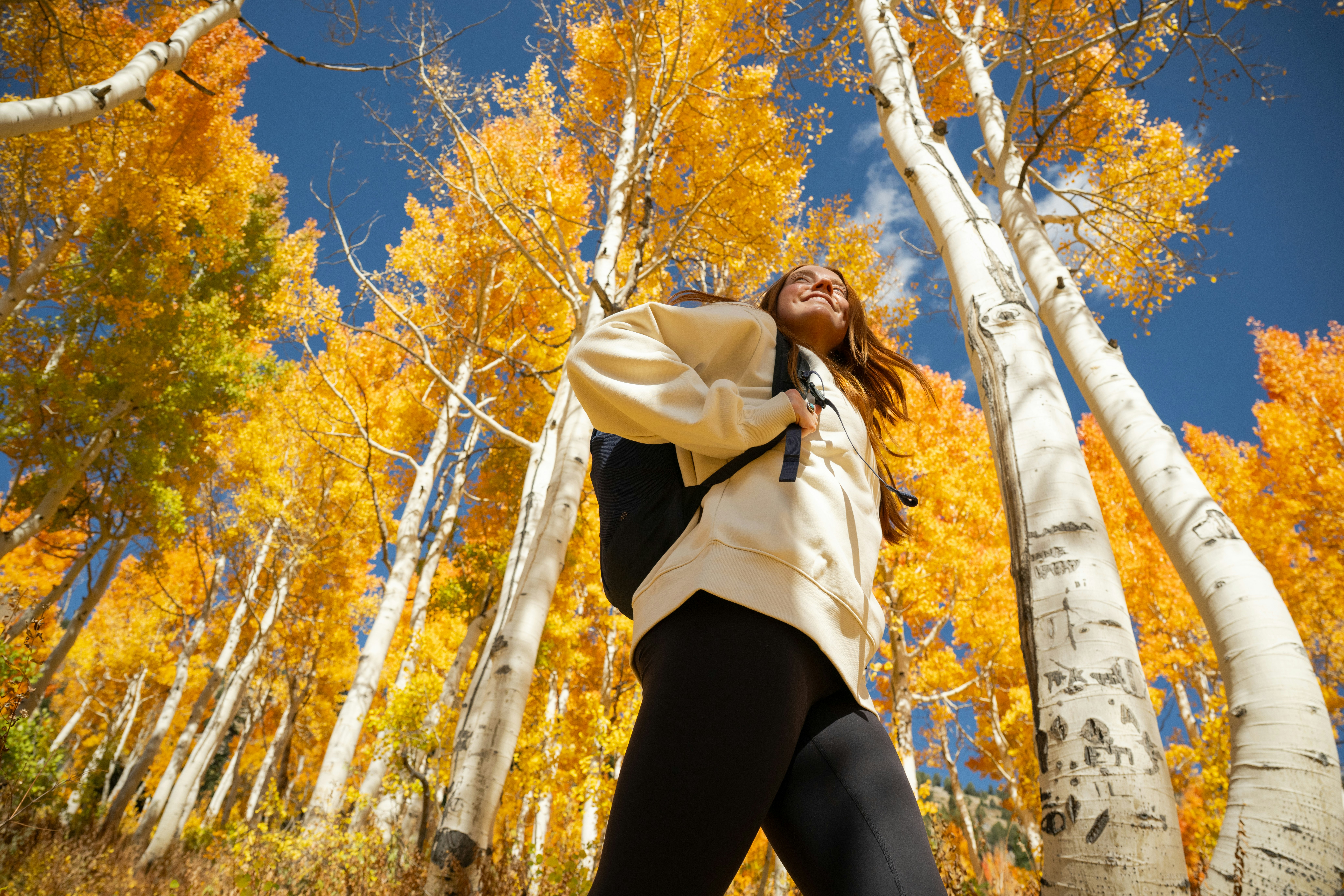 Snowpine Fall Session