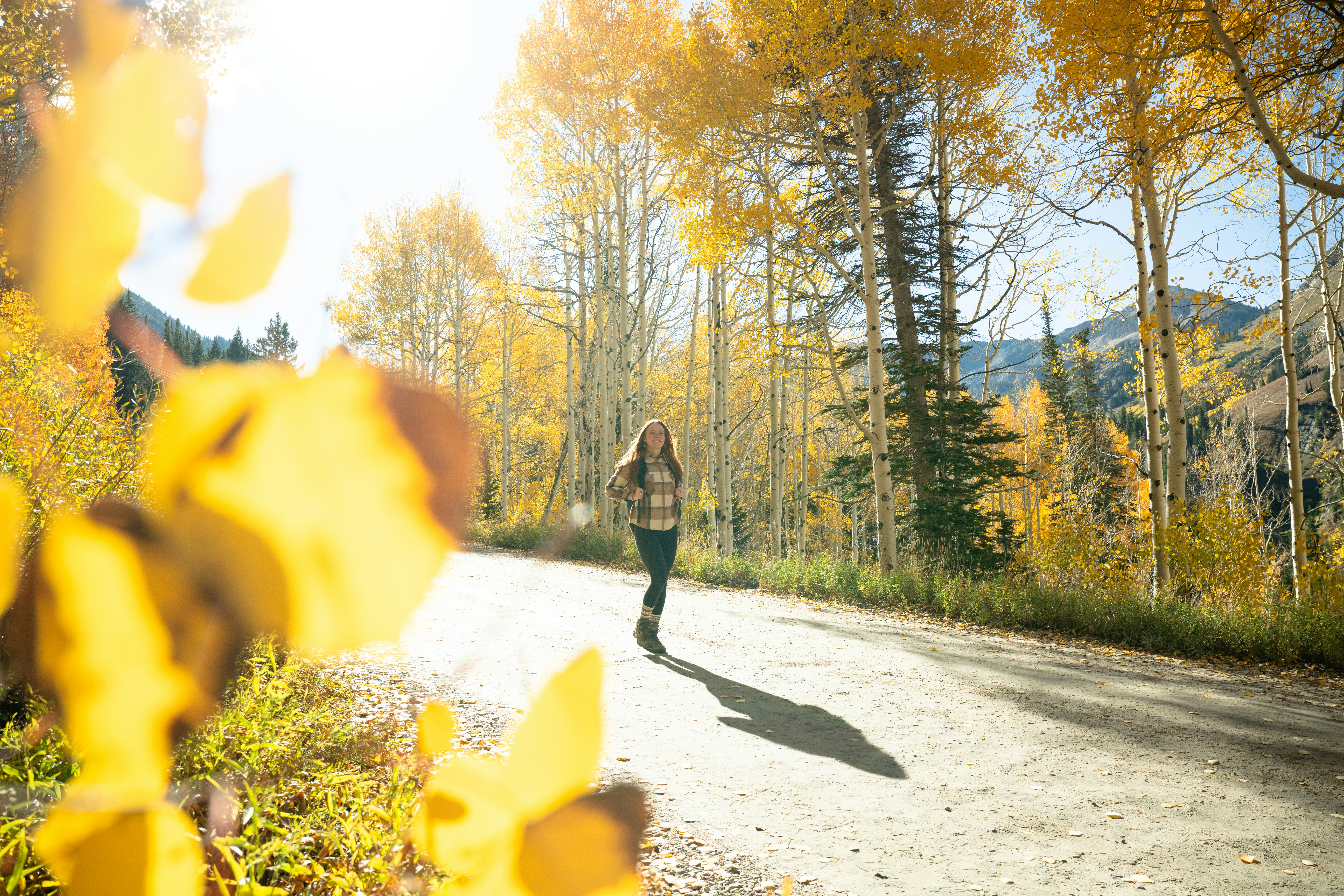 Snowpine Lodge Fall Summer Road