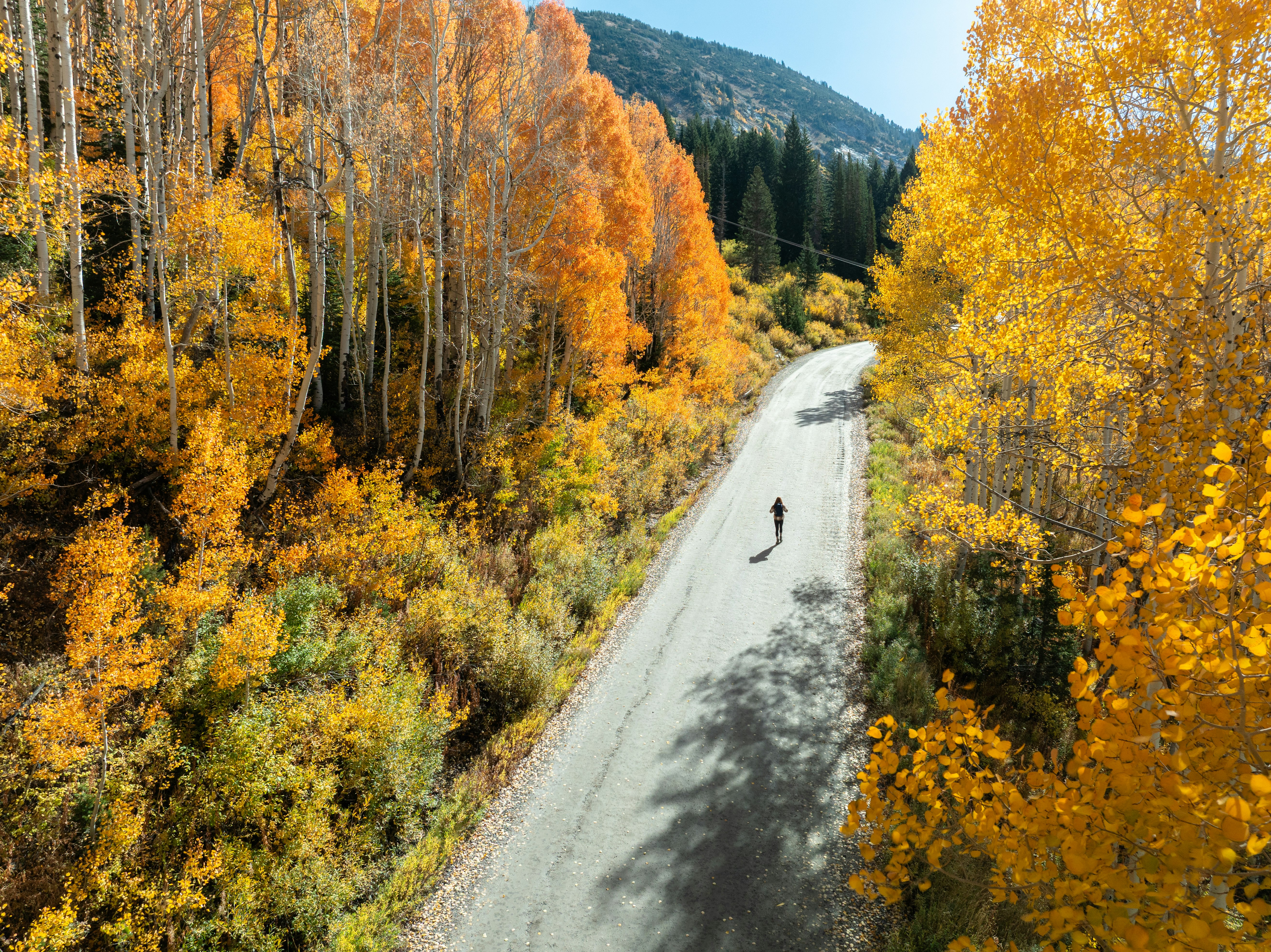 Snowpine Lodge Fall Summer Road Drone Shot