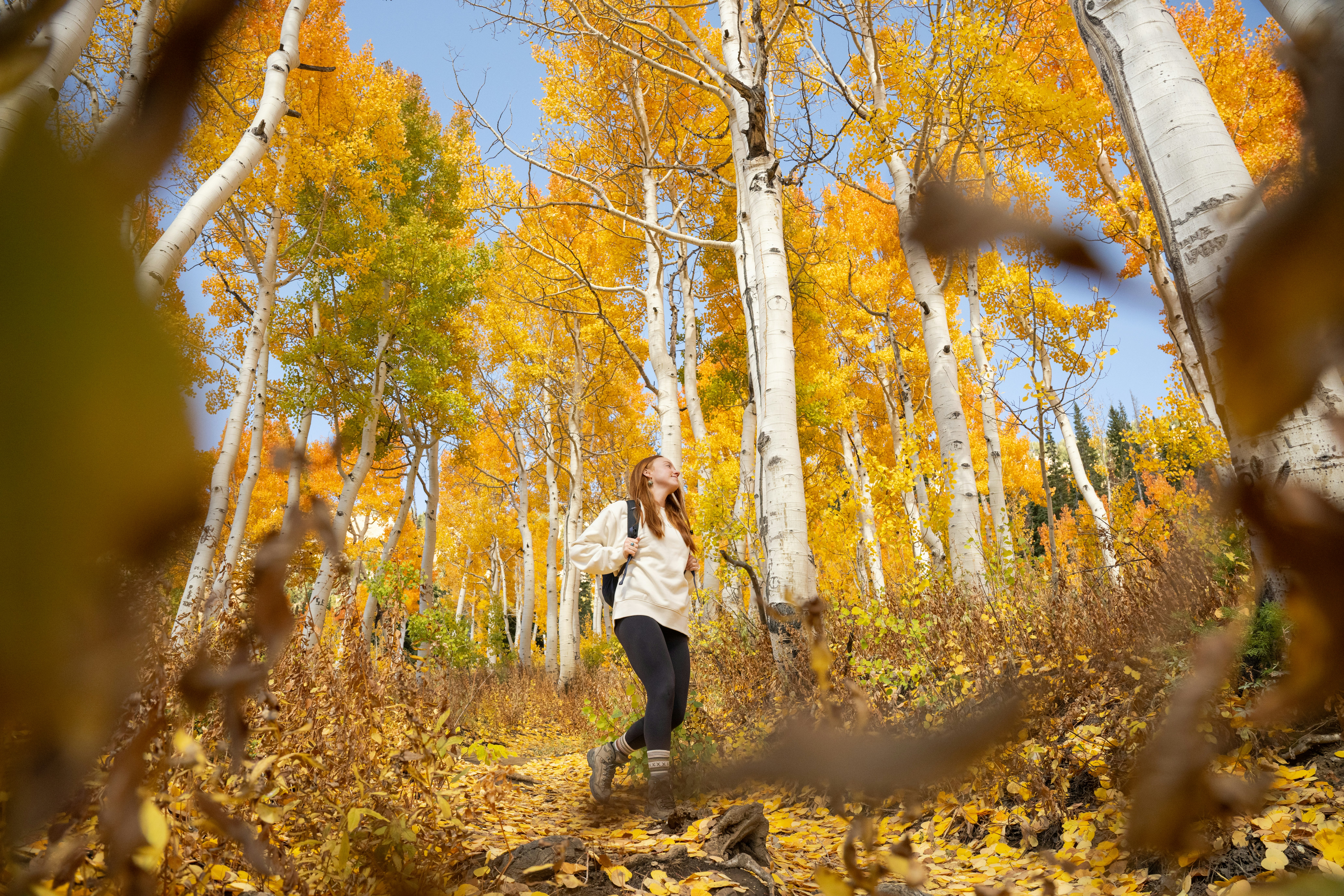 Snowpine Lodge Fall Summer Road Hiking
