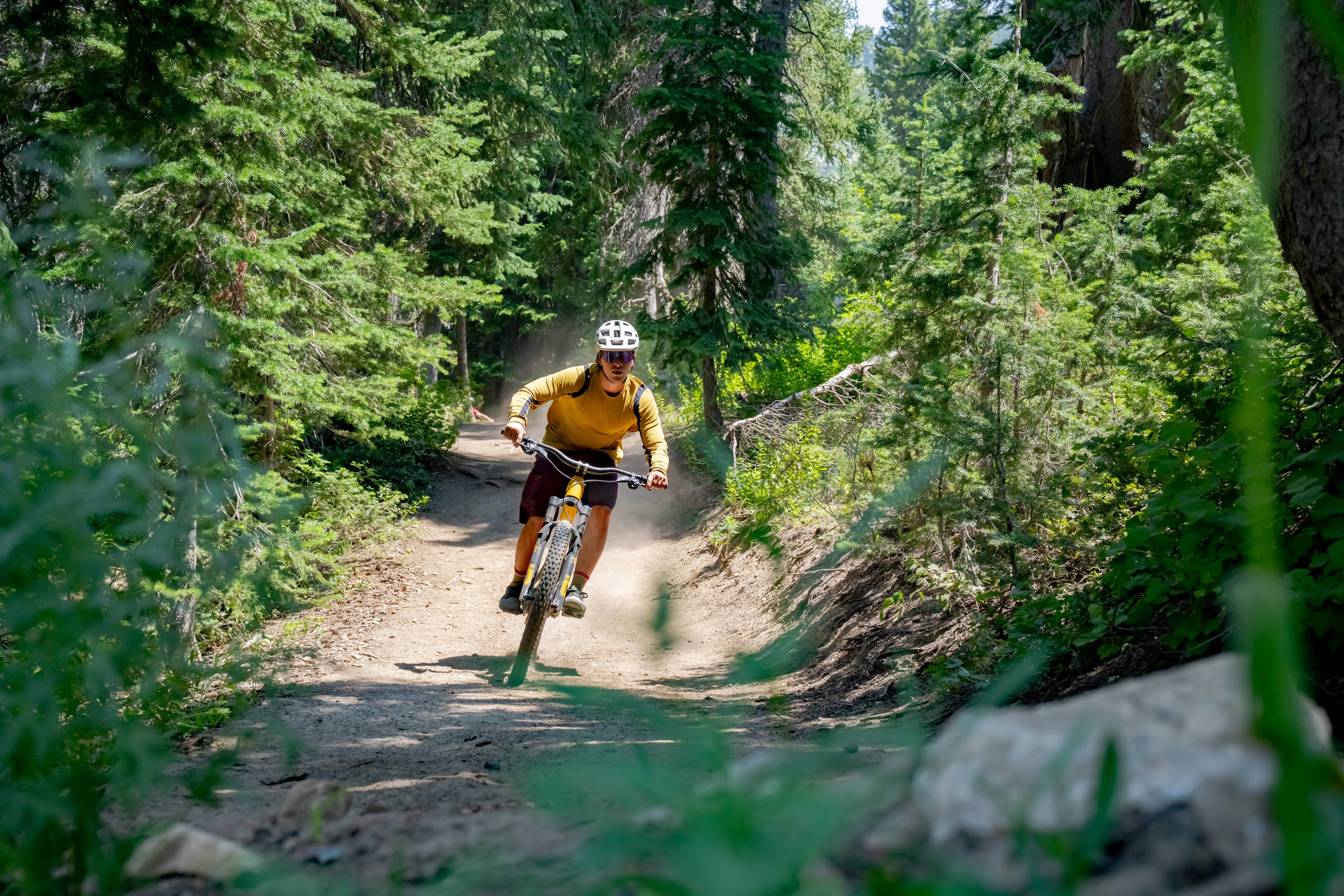 Snowpine Lodge Summer Biking