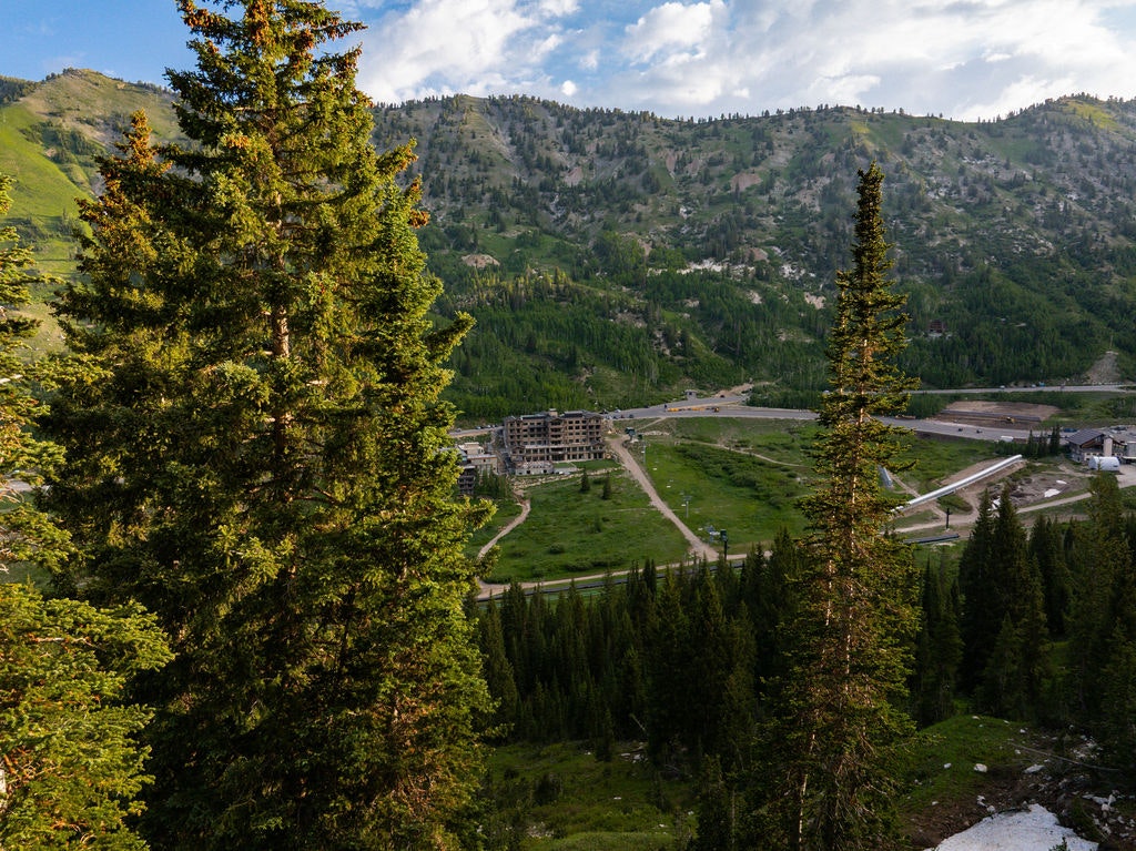 Snowpine Lodge Spring Photo