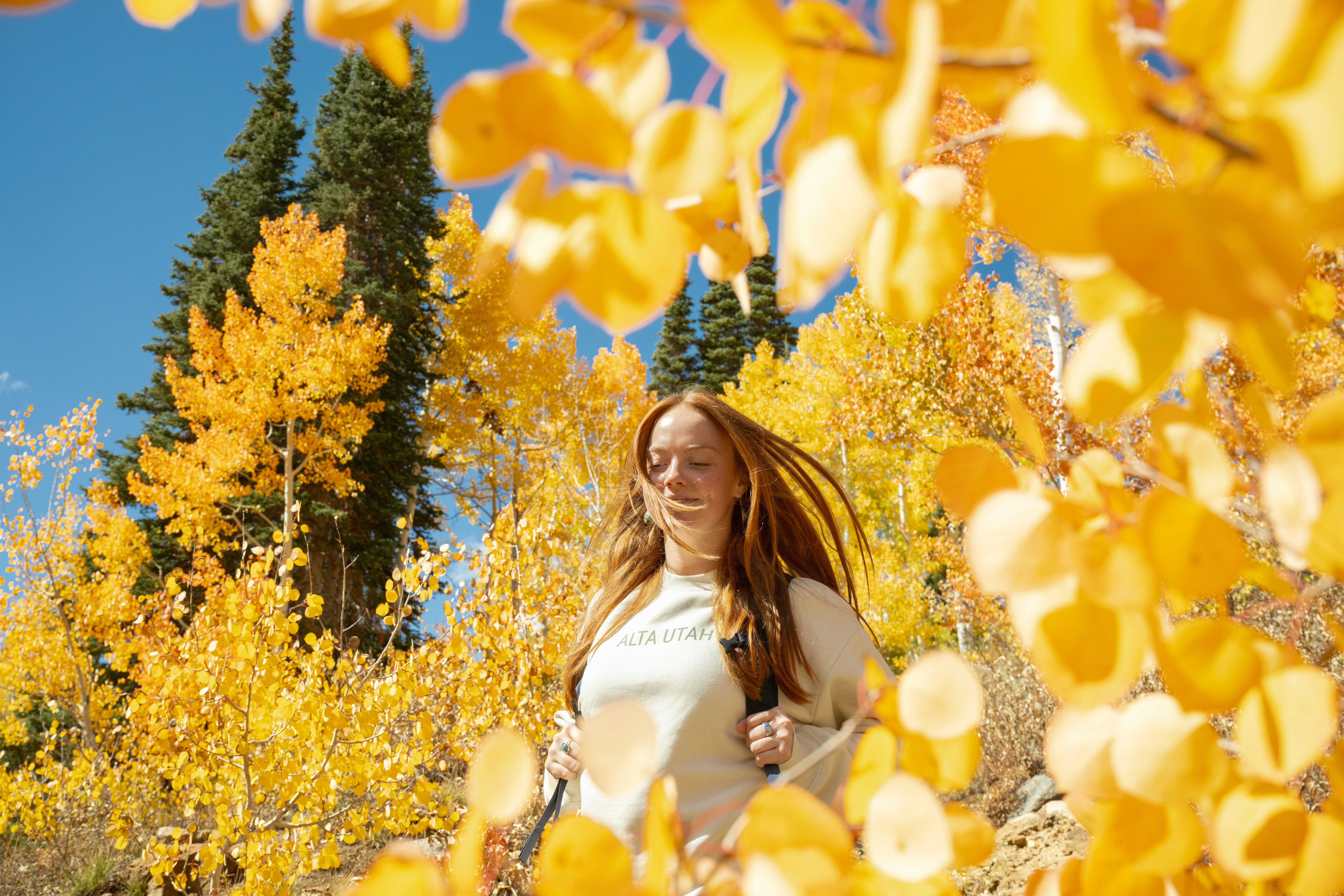 Snowpine Lodge Fall Photos