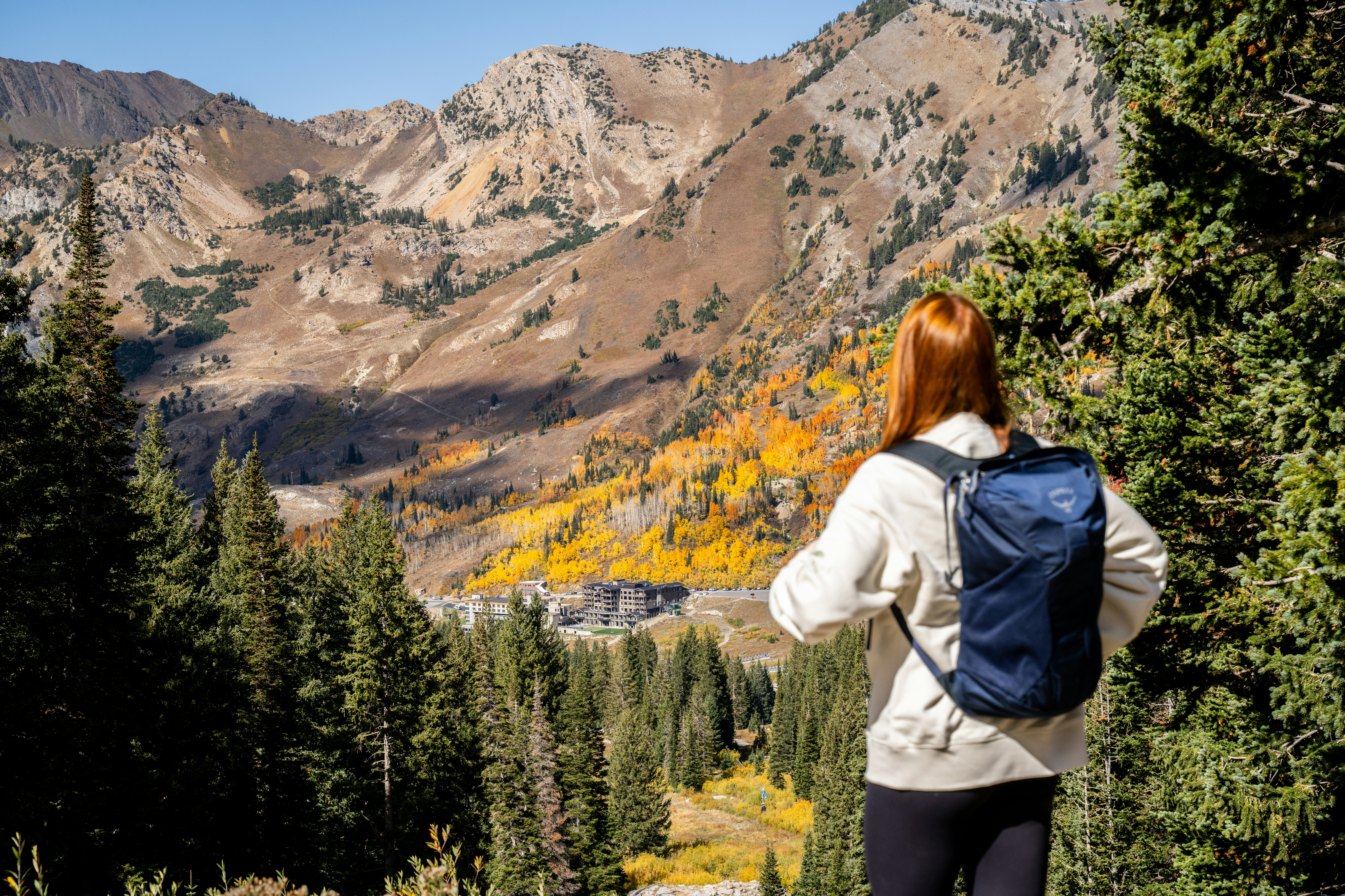 Snowpine Lodge Fall Photo Mountain View 2