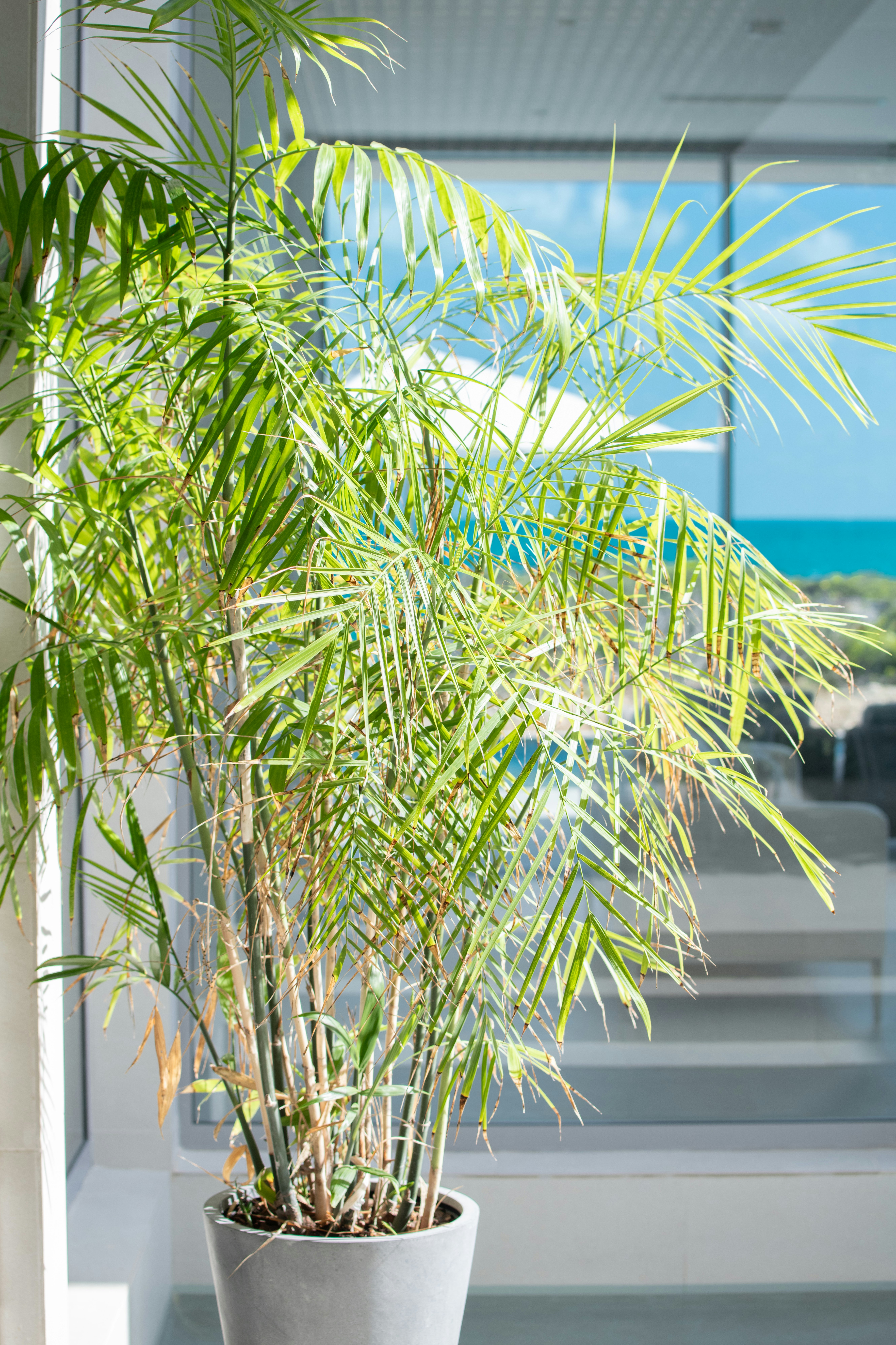 Ocean Estates Shoal - Exterior Detail