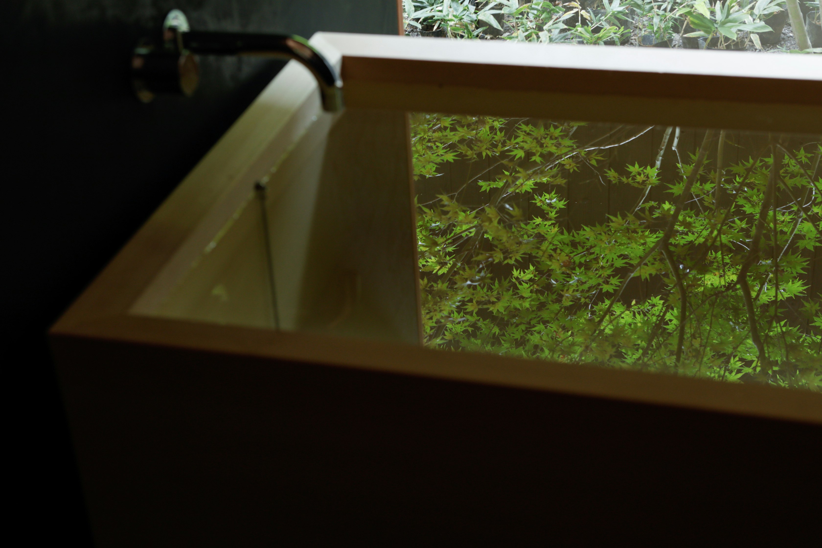 Superior Garden View