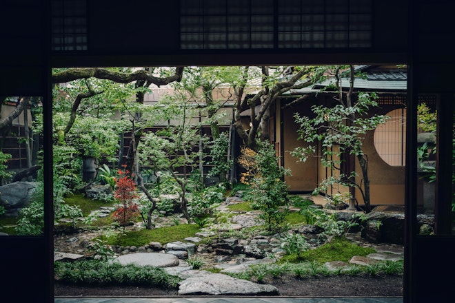 Deluxe Garden View