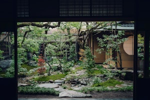 Deluxe Garden View