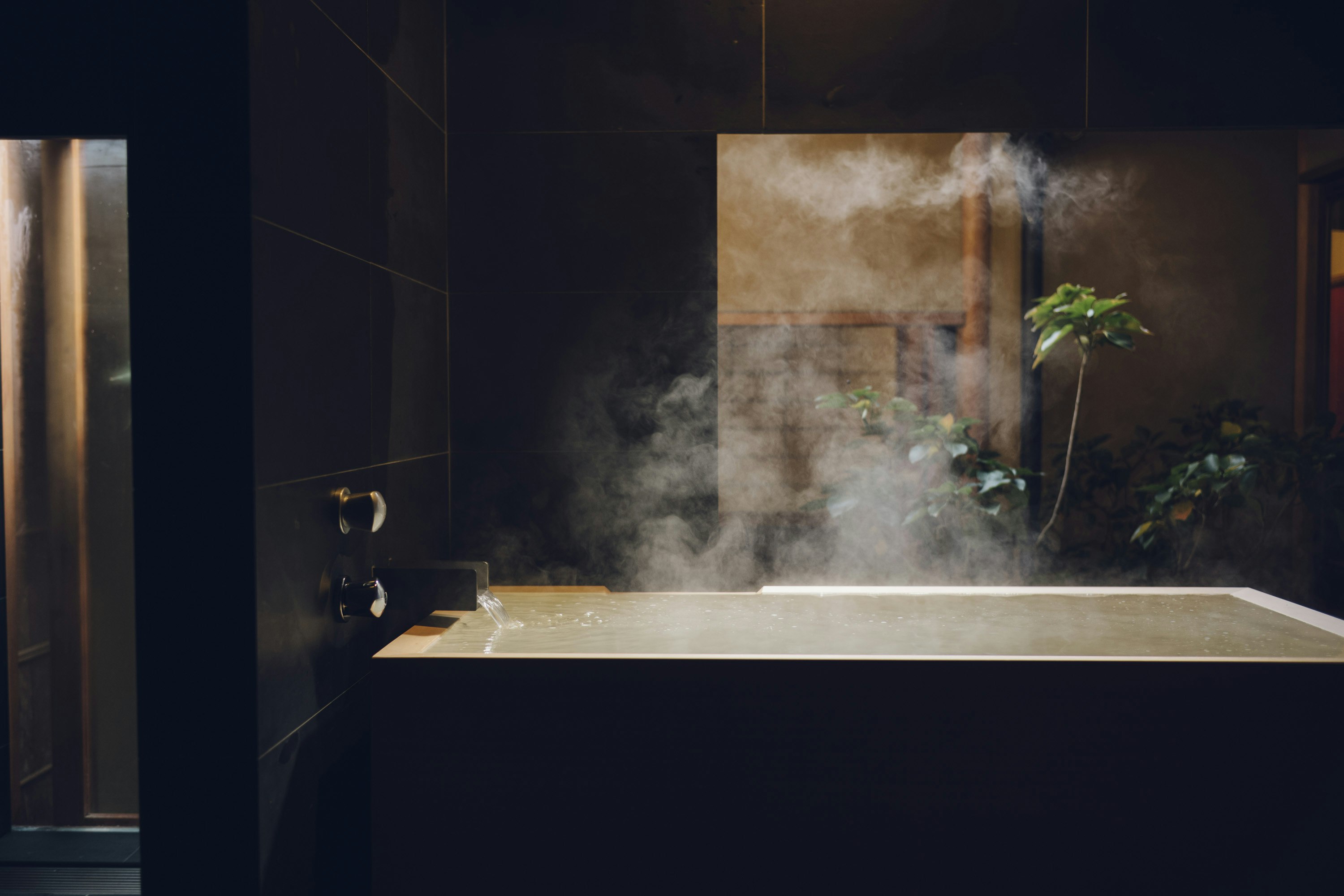 Deluxe with Private Garden Main - Queen