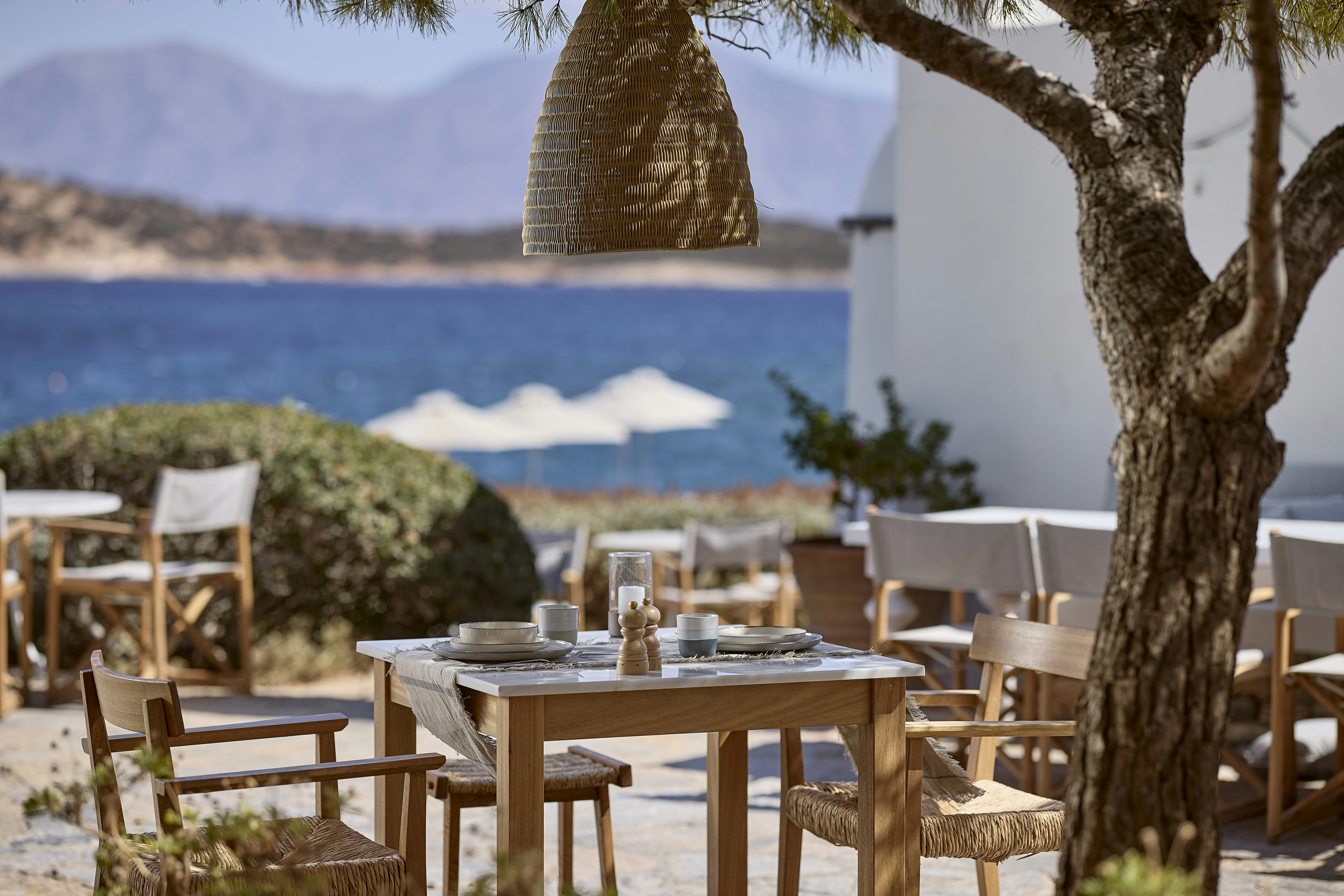 The Greek Kafenion Restaurant