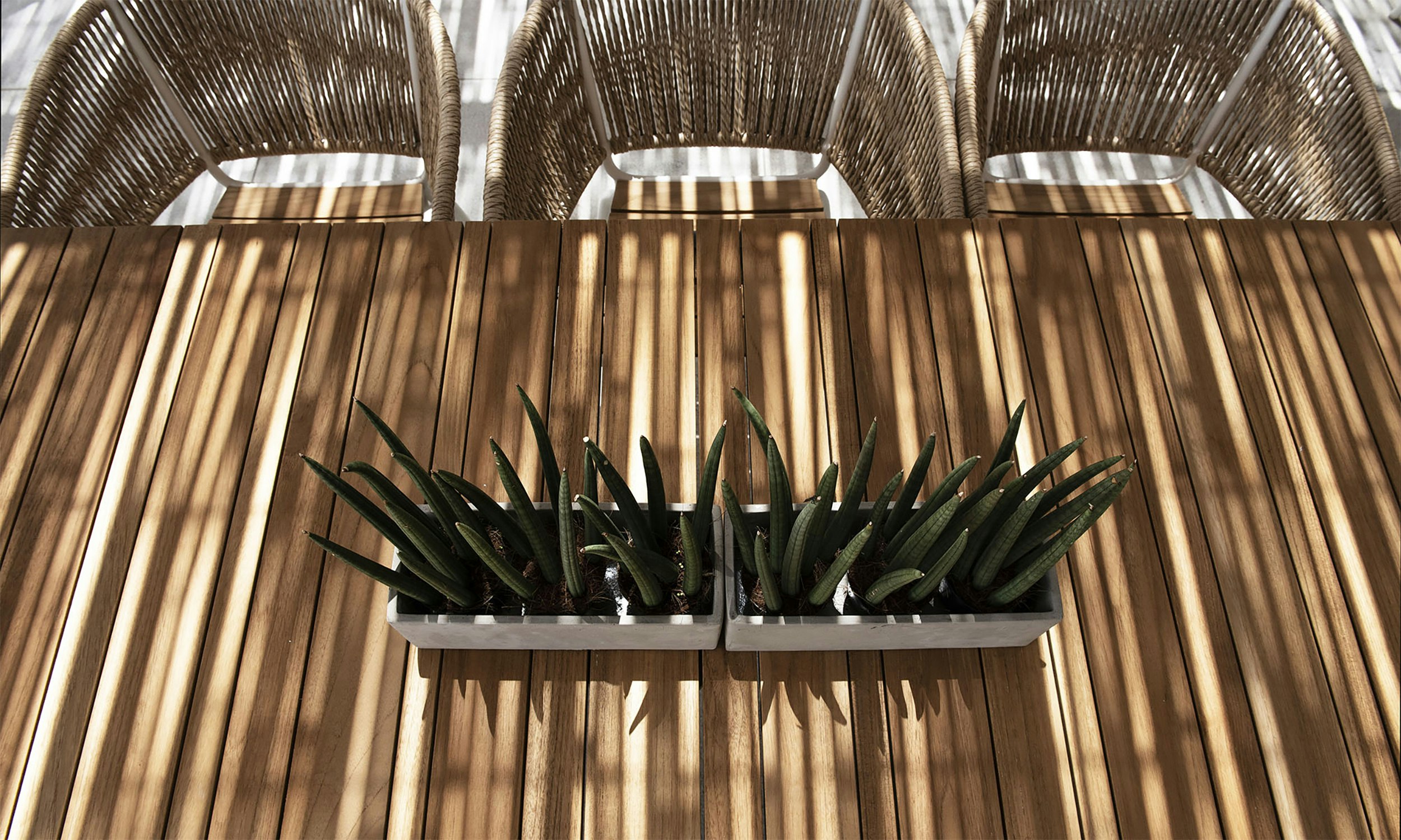 Gaia Restaurant Details