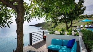 Under the Mango Tree