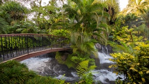 Tabacon Thermal Resort