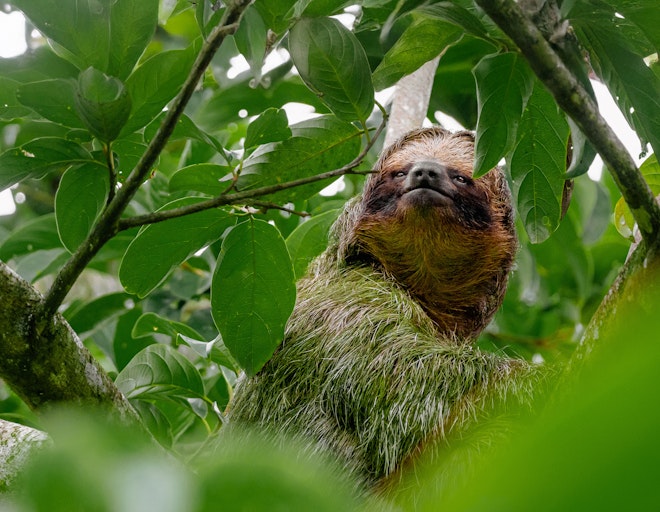 Tabacon Nature and Adventure