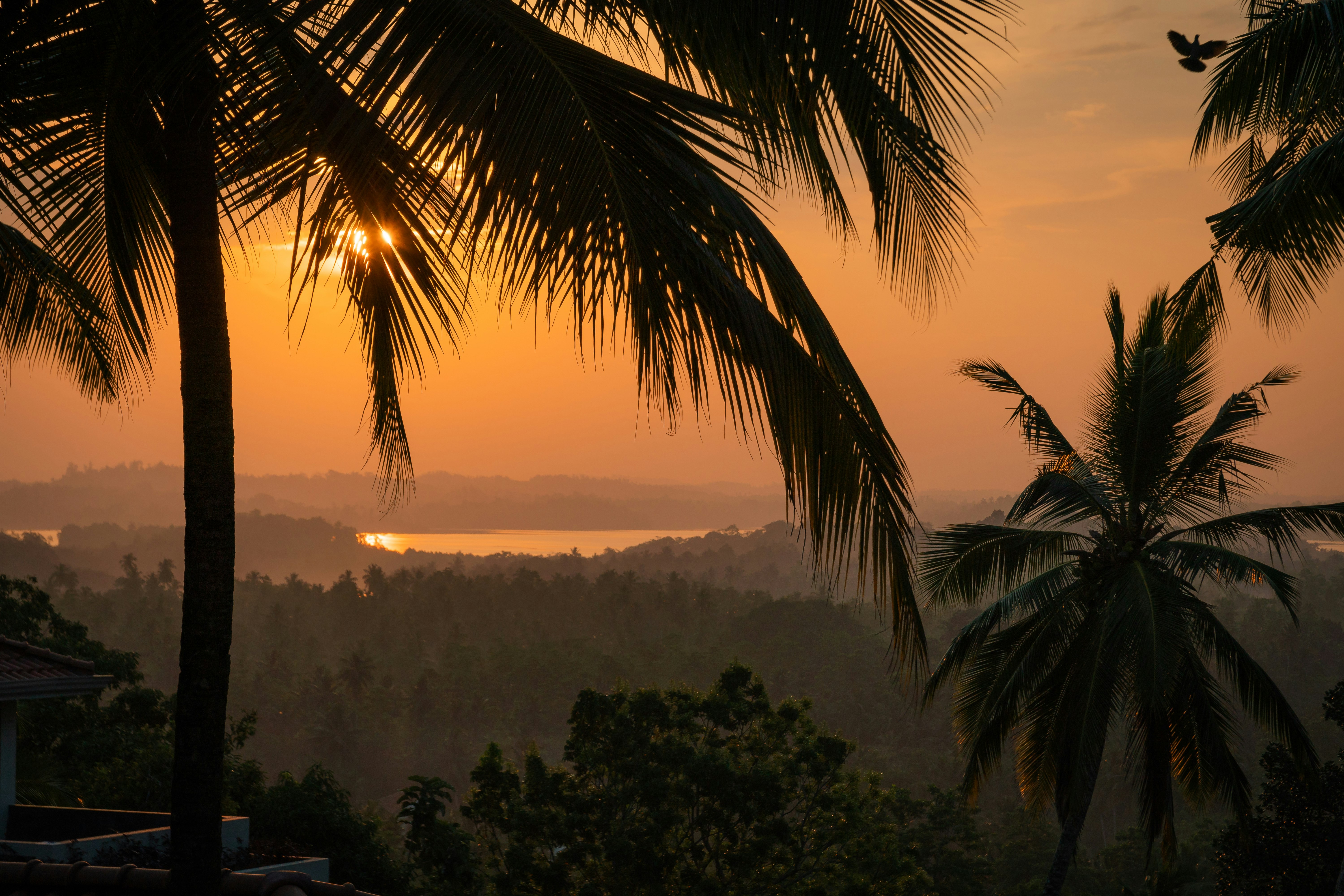 Two Bedroom Apartment View