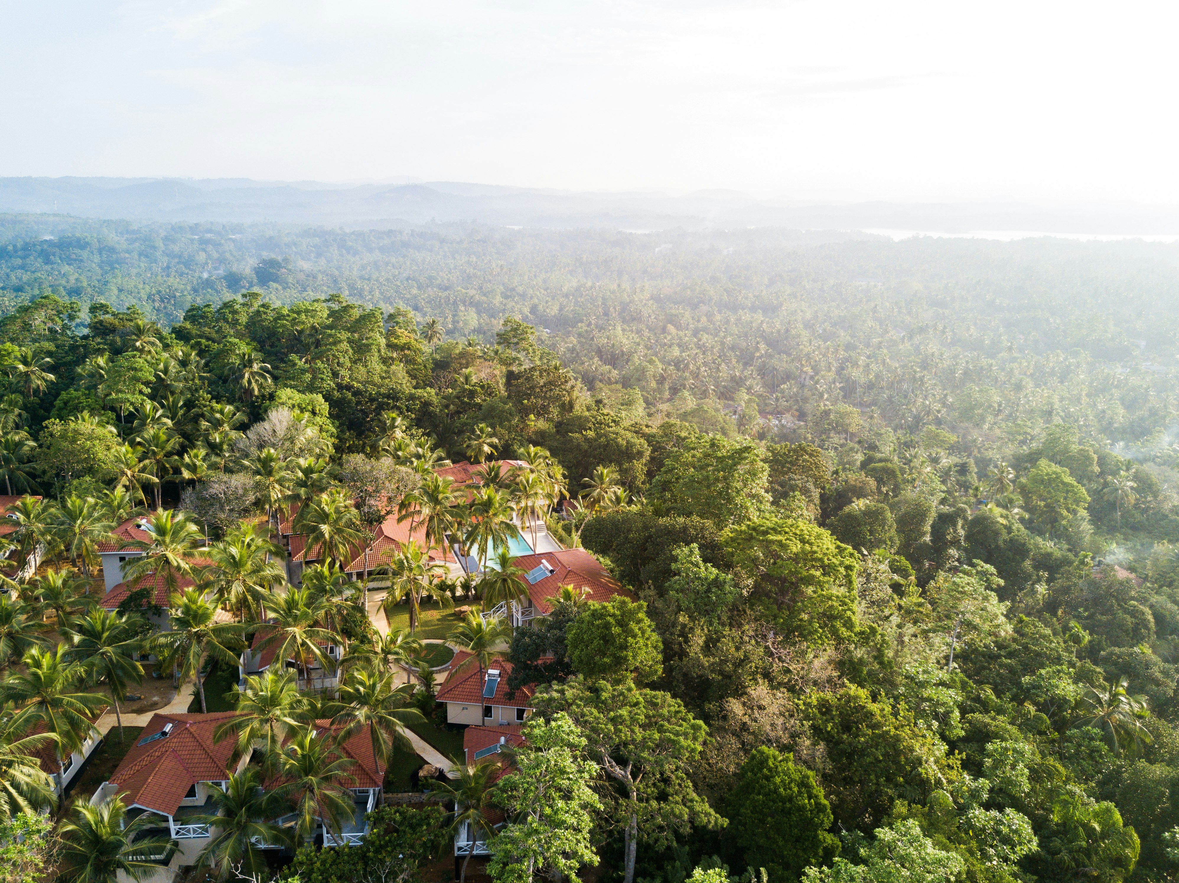 Tabula Rasa Aerial View