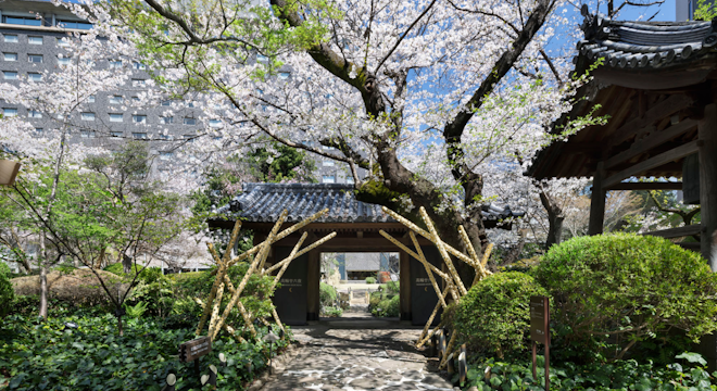 Japanese Garden