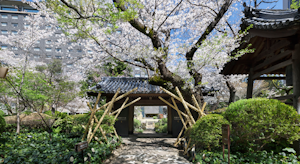 Japanese Garden